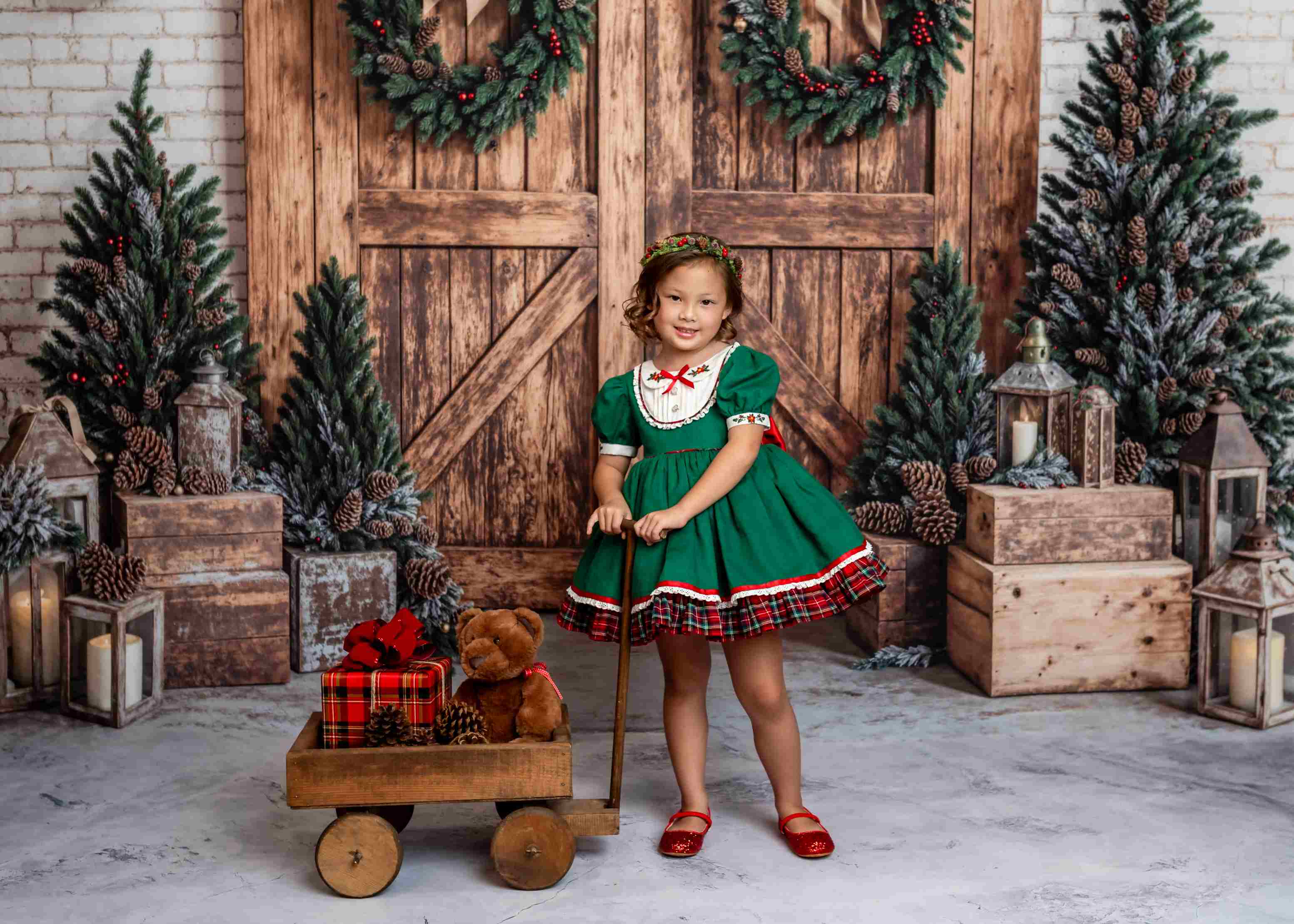 Kate Noël Rustique Grange Porte en bois Toile de fond conçue par Emetselch - Kate Backdrop FR