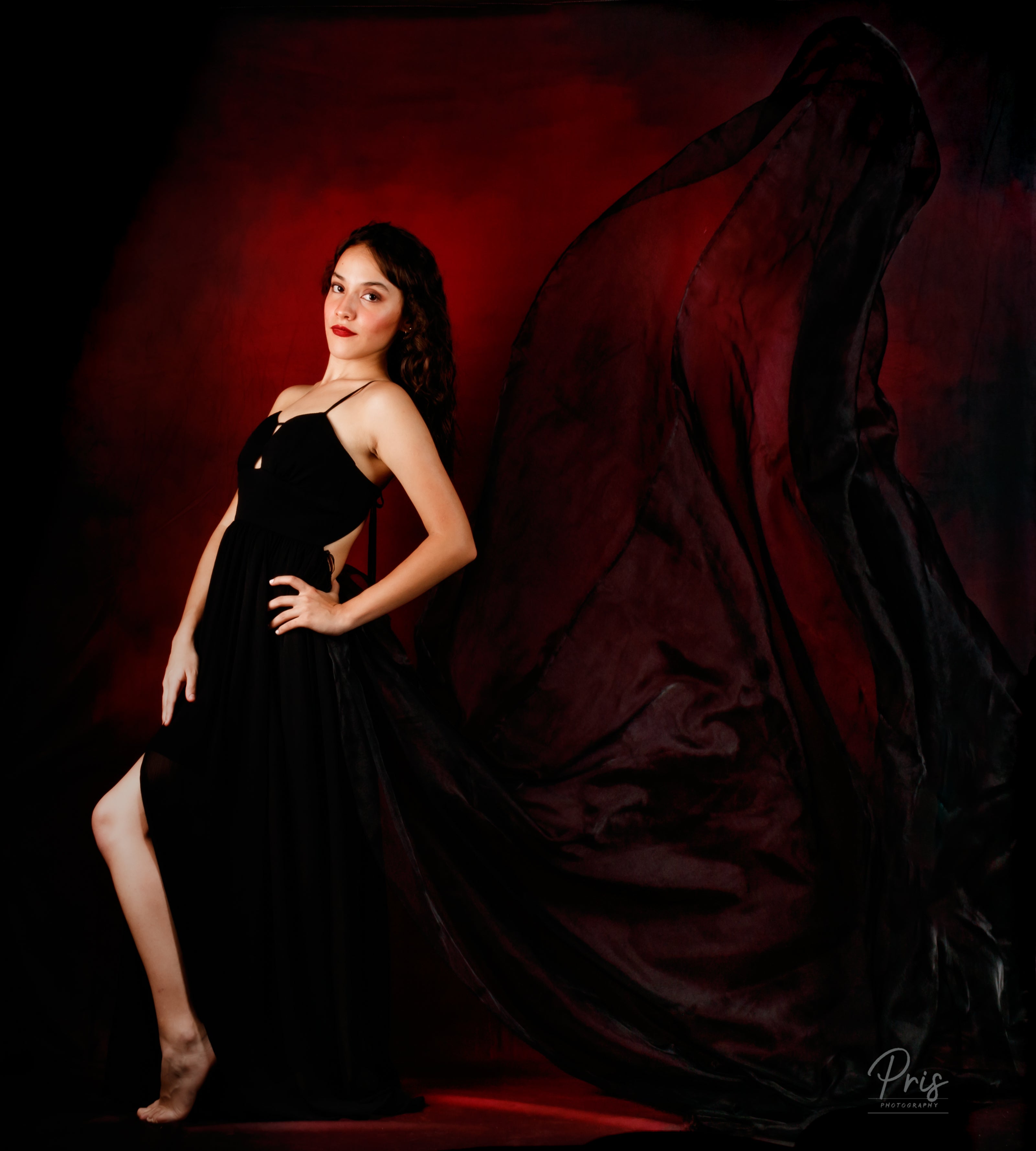 Kate Abstrait Rouge Rose Foncé Toile de fond pour la photographie - Kate Backdrop FR