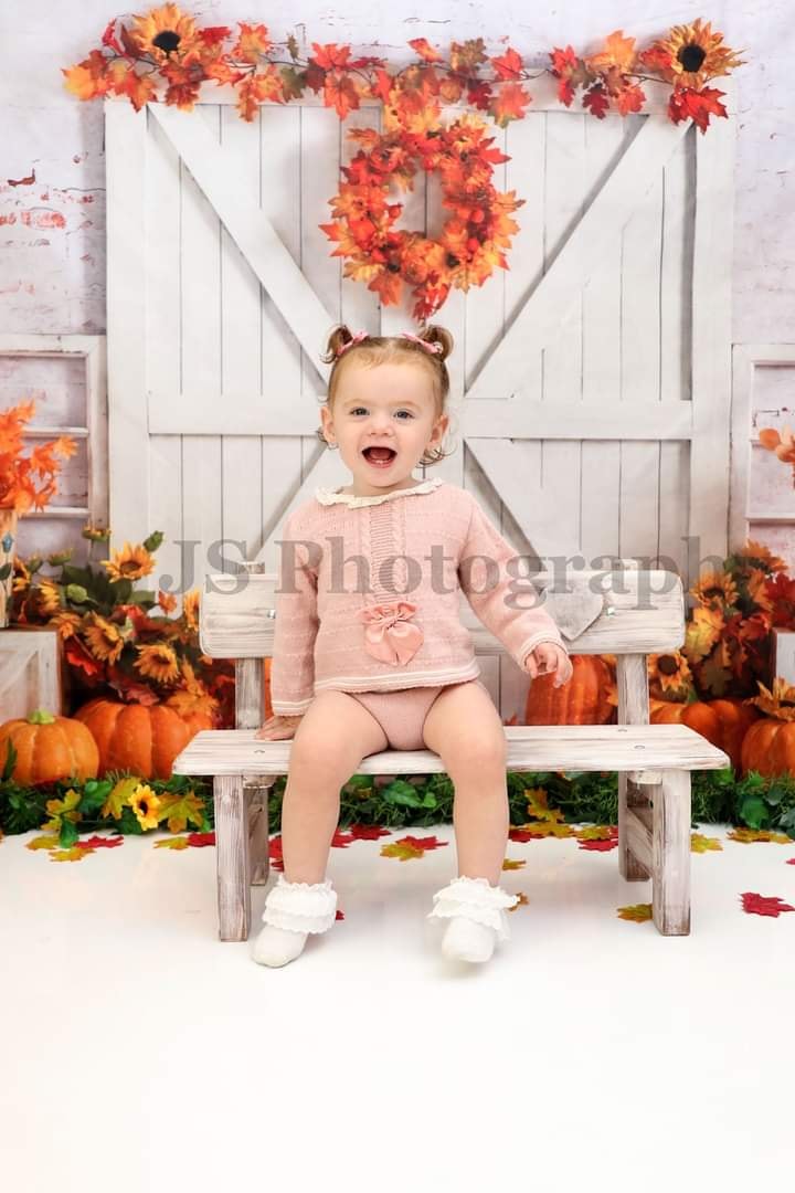 Kate Grange Action de grâces Citrouilles Automne Toile de fond conçu par Emetselch - Kate Backdrop FR
