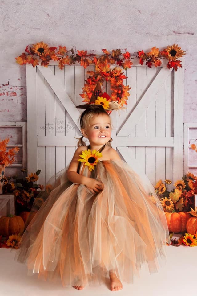 Kate Grange Action de grâces Citrouilles Automne Toile de fond conçu par Emetselch - Kate Backdrop FR