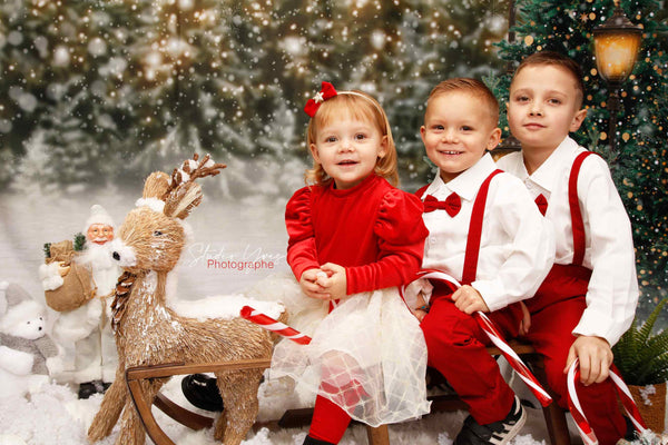 Virginie Favrel work