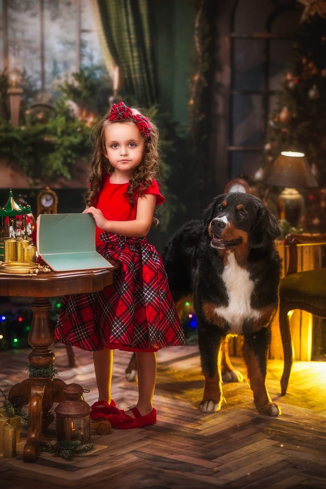 Kate Noël Vert Cheminée Rideau Toile de fond conçu par Emetselch - Kate Backdrop FR