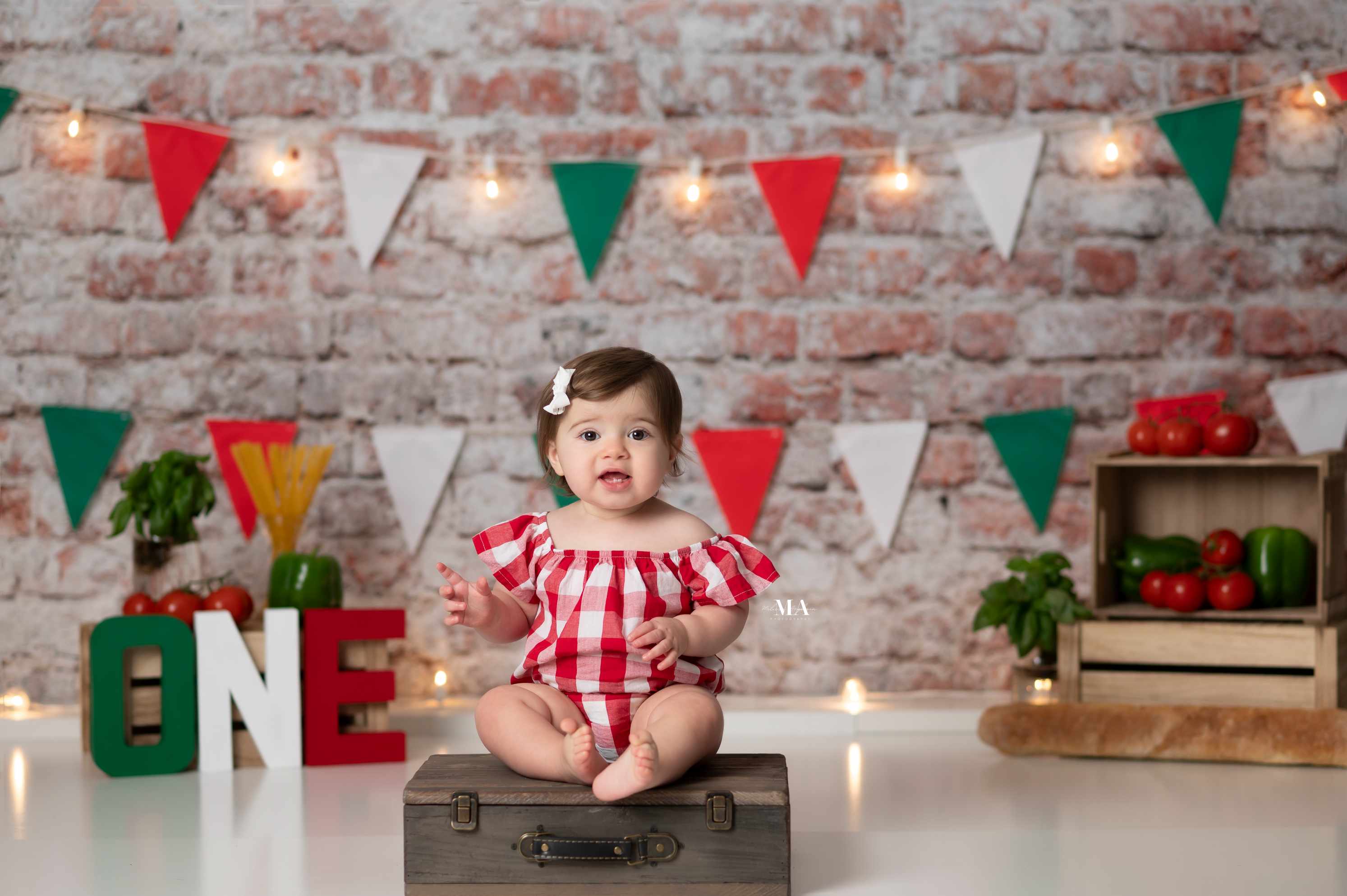Kate Vieille Mur de briques Portrait de famille Toile de fond conçue par Kate image - Kate Backdrop FR