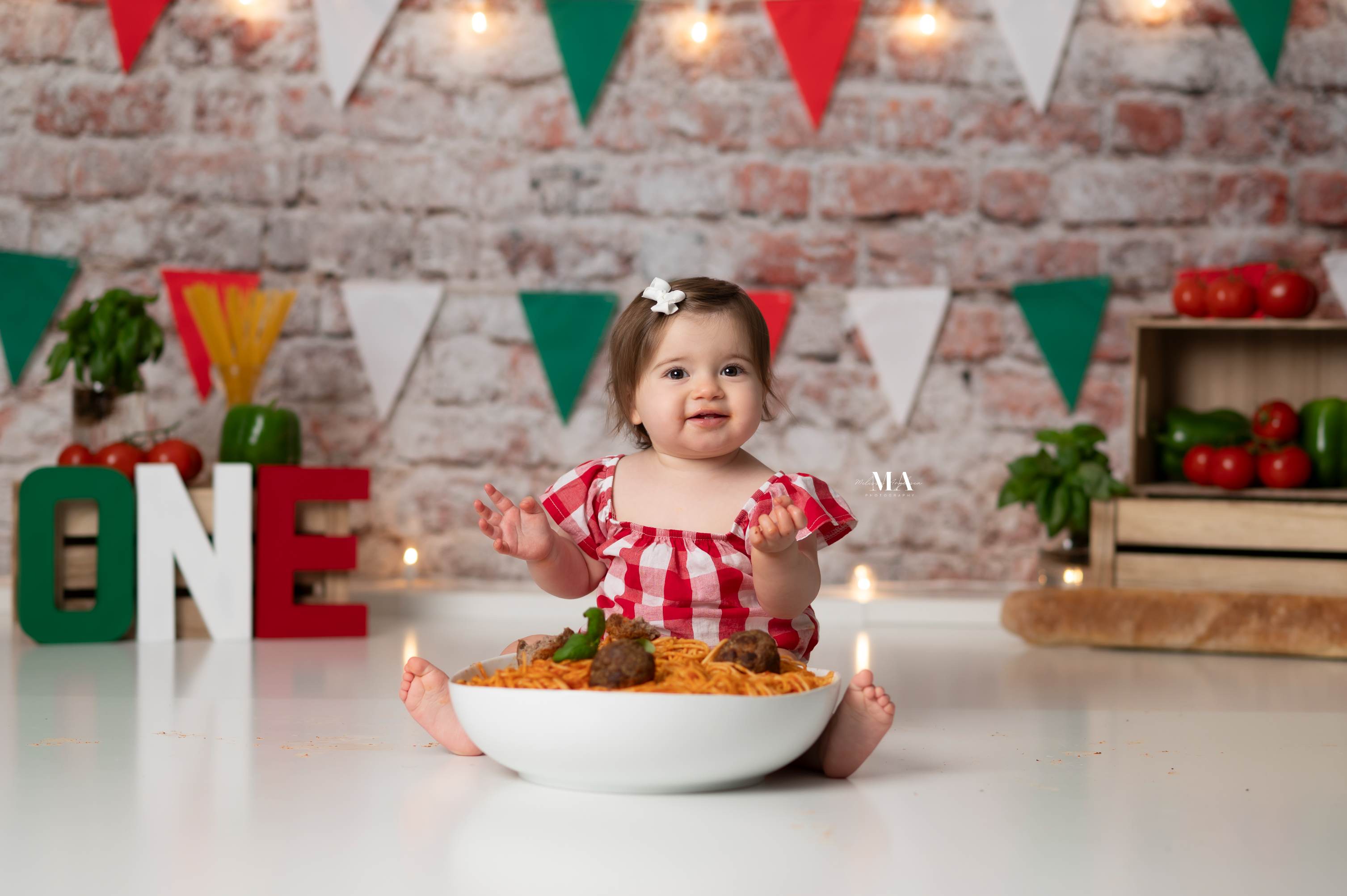 Kate Vieille Mur de briques Portrait de famille Toile de fond conçue par Kate image - Kate Backdrop FR