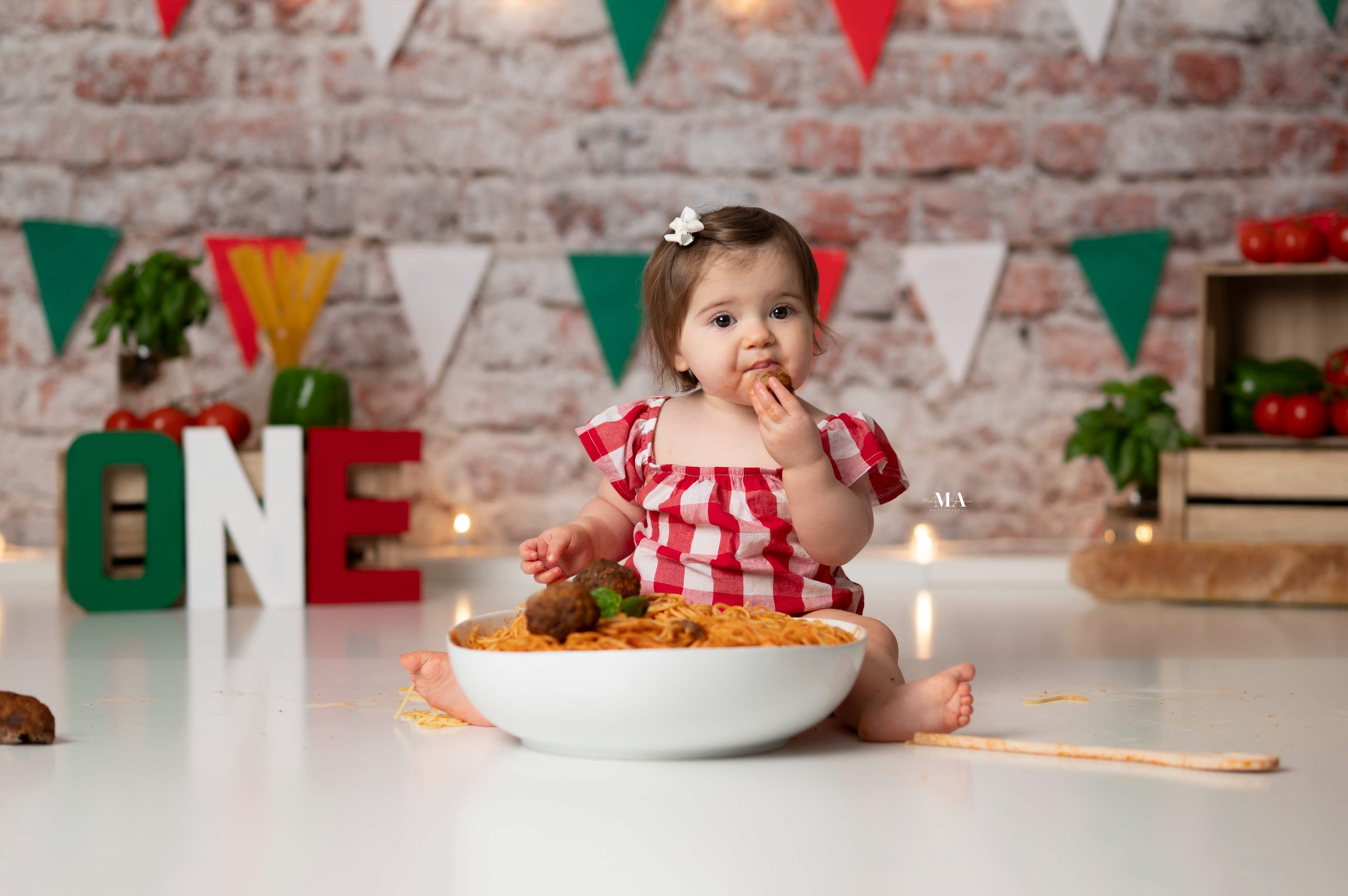 Kate Vieille Mur de briques Portrait de famille Toile de fond conçue par Kate image - Kate Backdrop FR