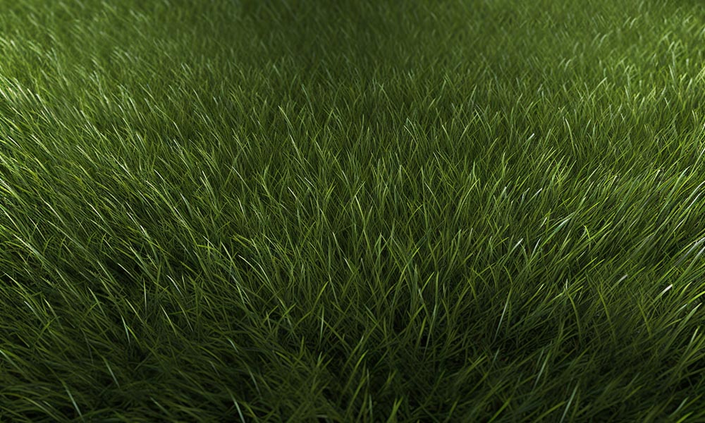 Kate Tapis de sol en caoutchouc Été Prairie Vert - Kate Backdrop FR