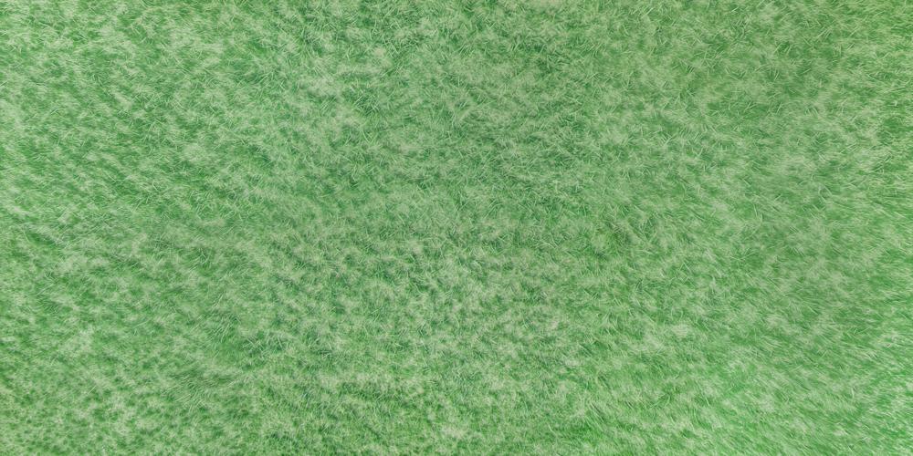 Kate Herbe Vert Prairie Tapis de sol en Caoutchouc pour la photographie