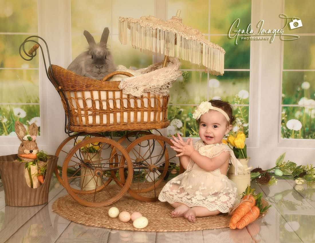 Kate Jardin Printemps Vert Fenêtre Toile de fond conçue par Emetselch - Kate Backdrop FR