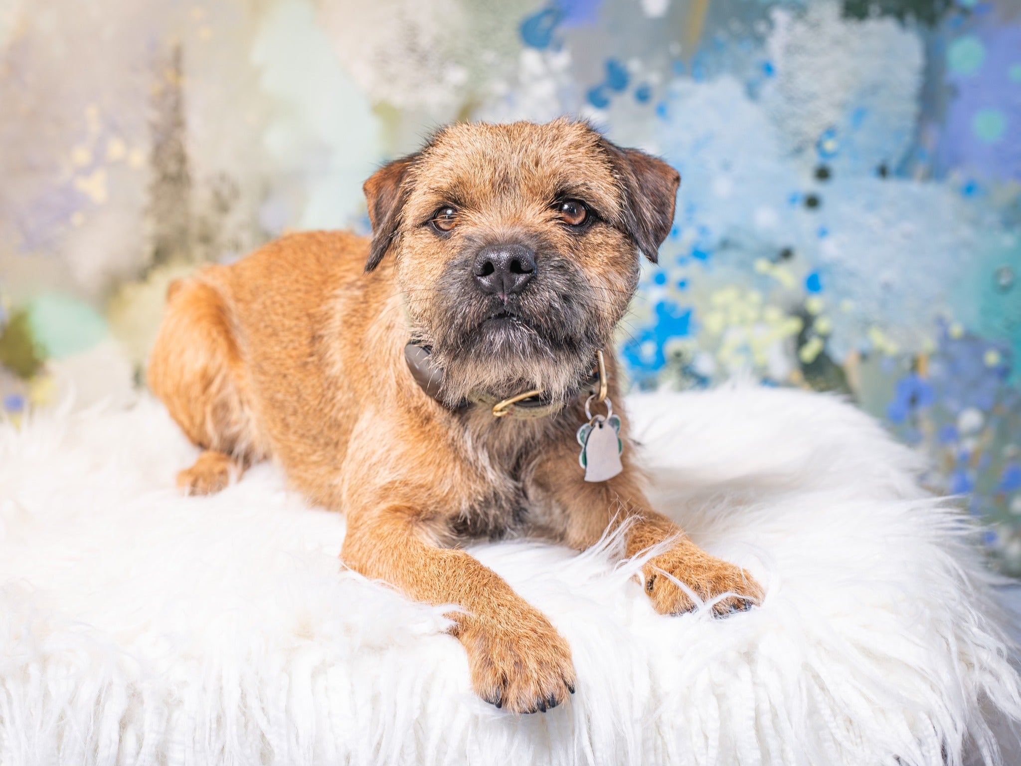 Kate Fleurs Jardin Peinture à l'huile Printemps Bokeh Toile de fond pour la photographie - Kate Backdrop FR