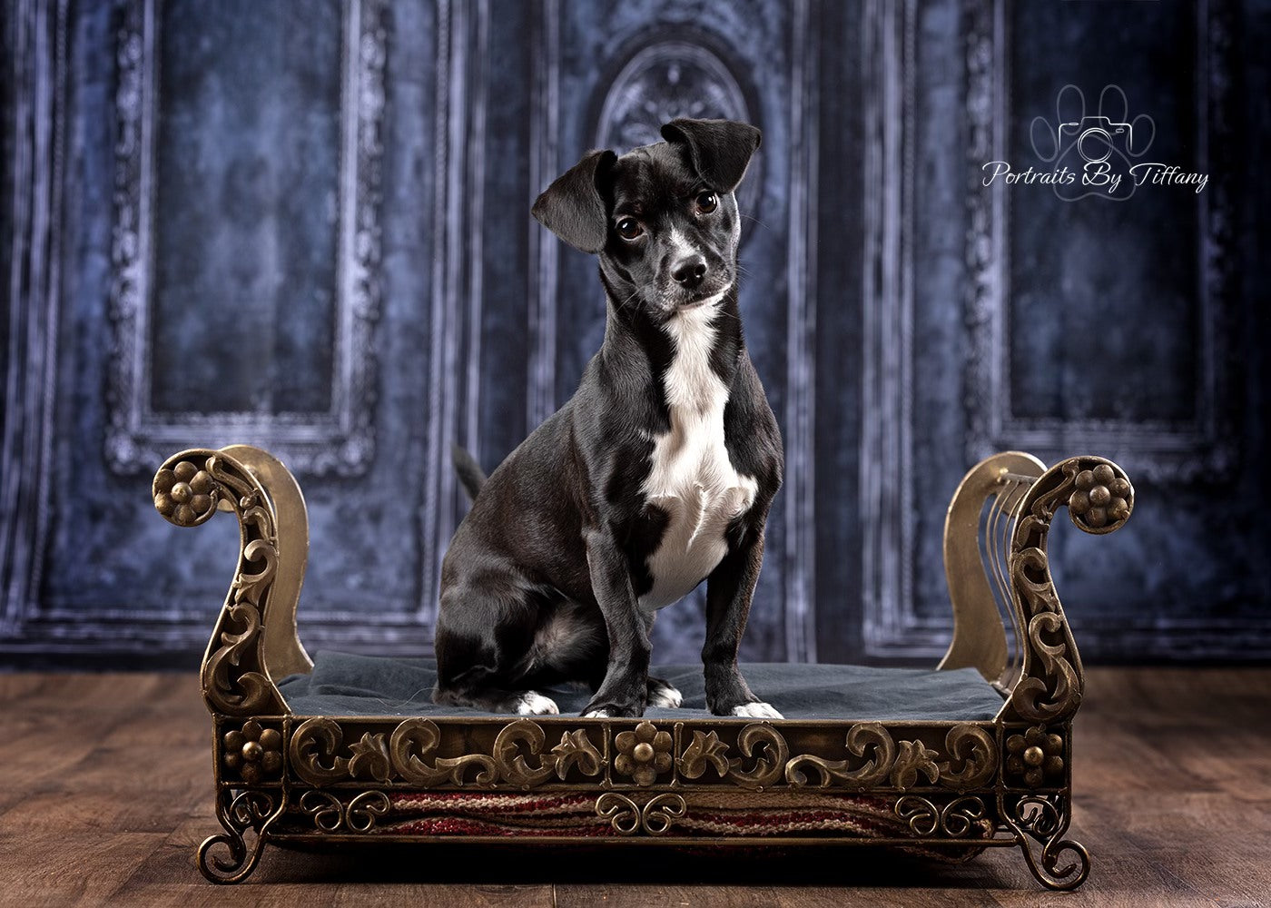 Kate Bleu foncé Vintage Mur Boudoir Mariage Toile de fond conçu par Chain Photographie - Kate Backdrop FR