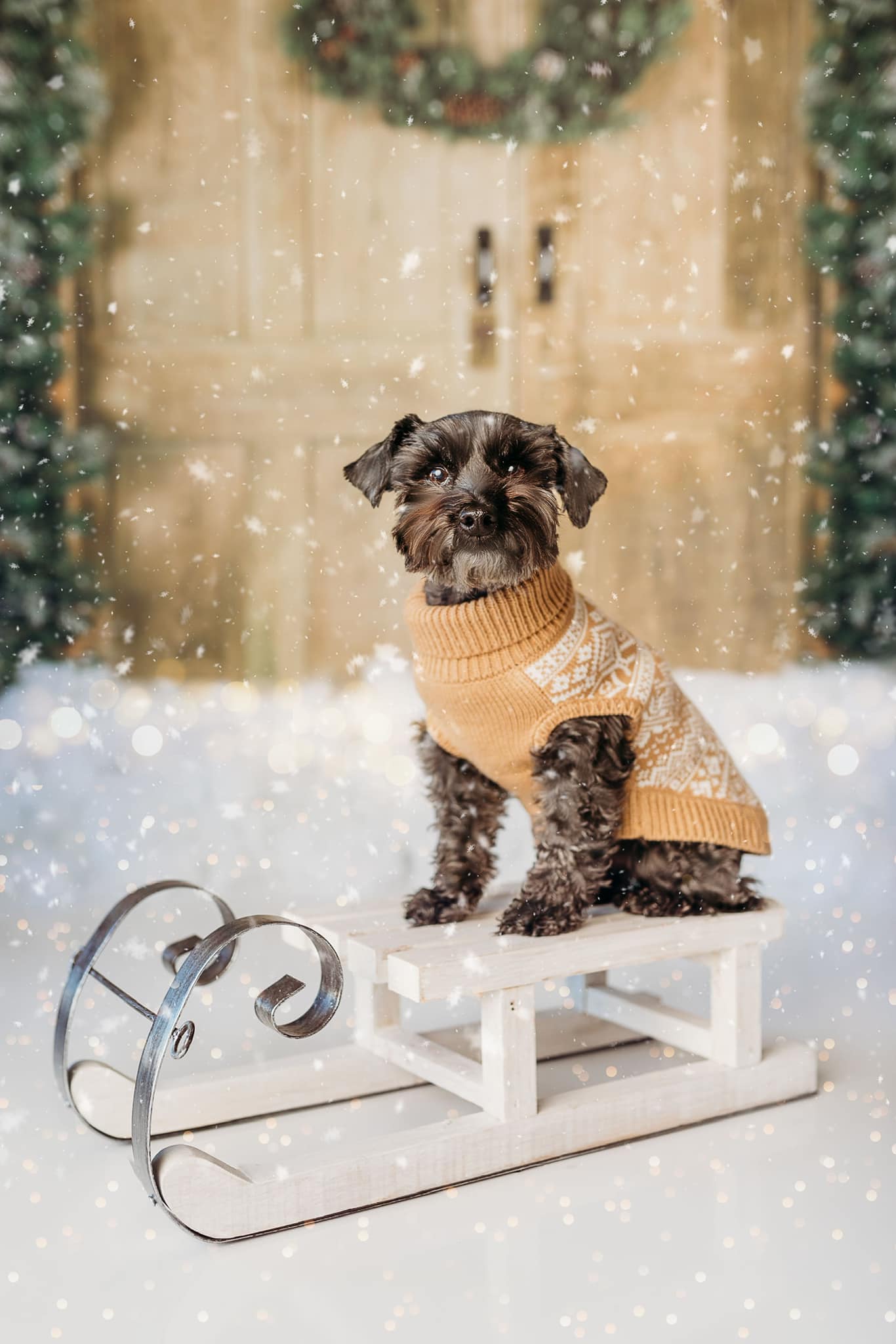 Kate Couronne de Noël Porte Vacances Toile de fond conçue par Arica Kirby - Kate Backdrop FR