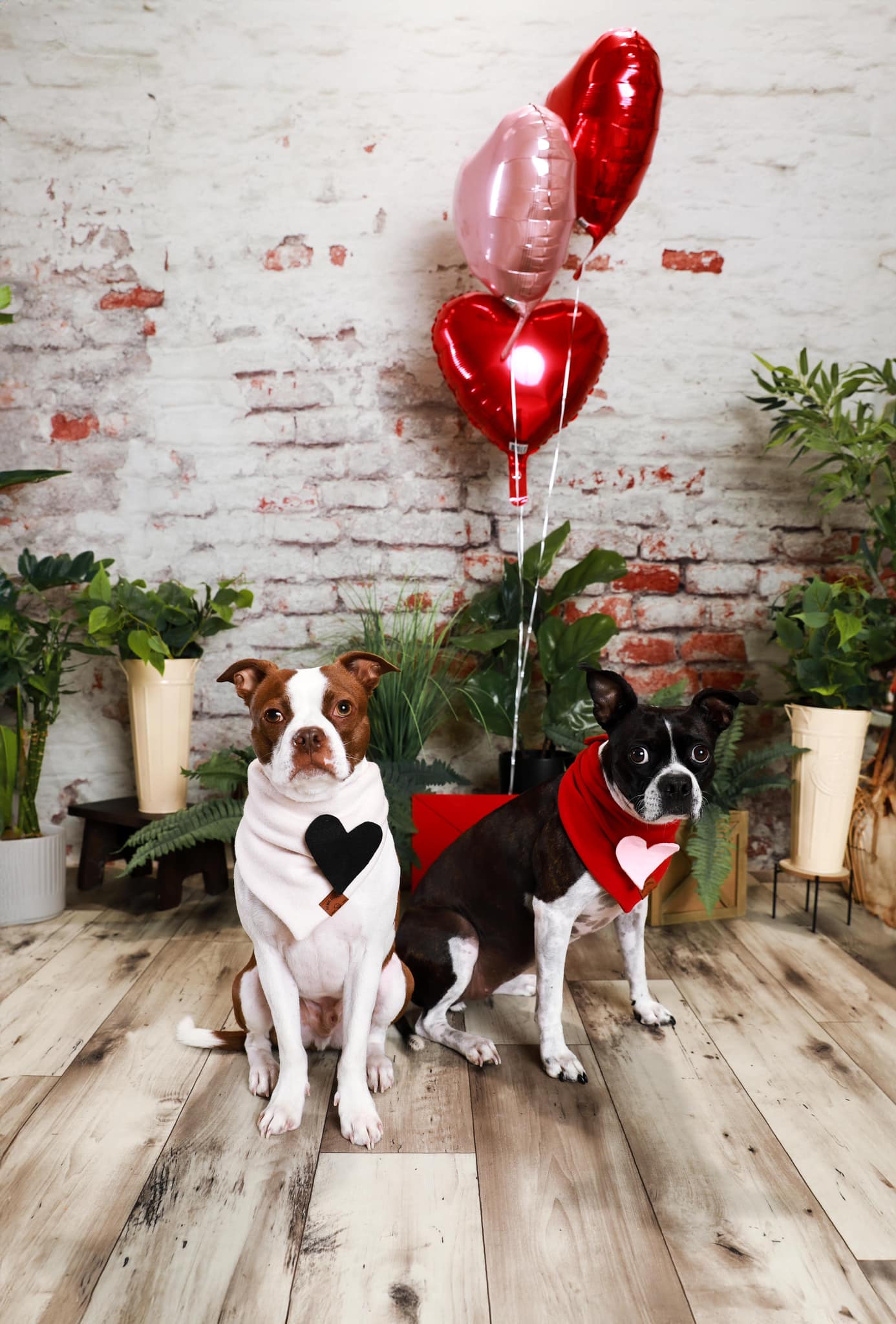 Kate Mur de briques Blanc Vieux Toile de fond conçue par Pine Park Collection - Kate Backdrop FR