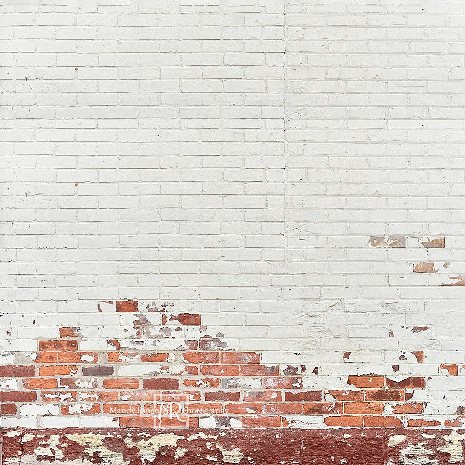 Kate Miteux Mur de briques Blanc & Rouge Toile de fond conçue par Mandy Ringe - Kate Backdrop FR