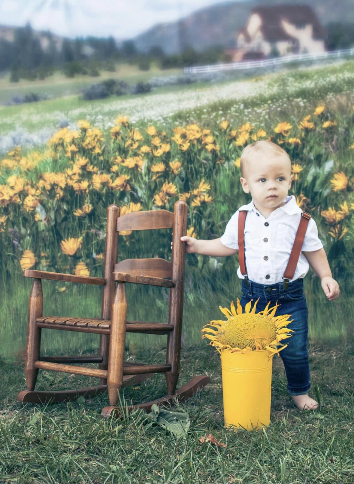 Kate Été Prairie Montagne Tournesol Toile de fond conçue par Lisa Granden - Kate Backdrop FR