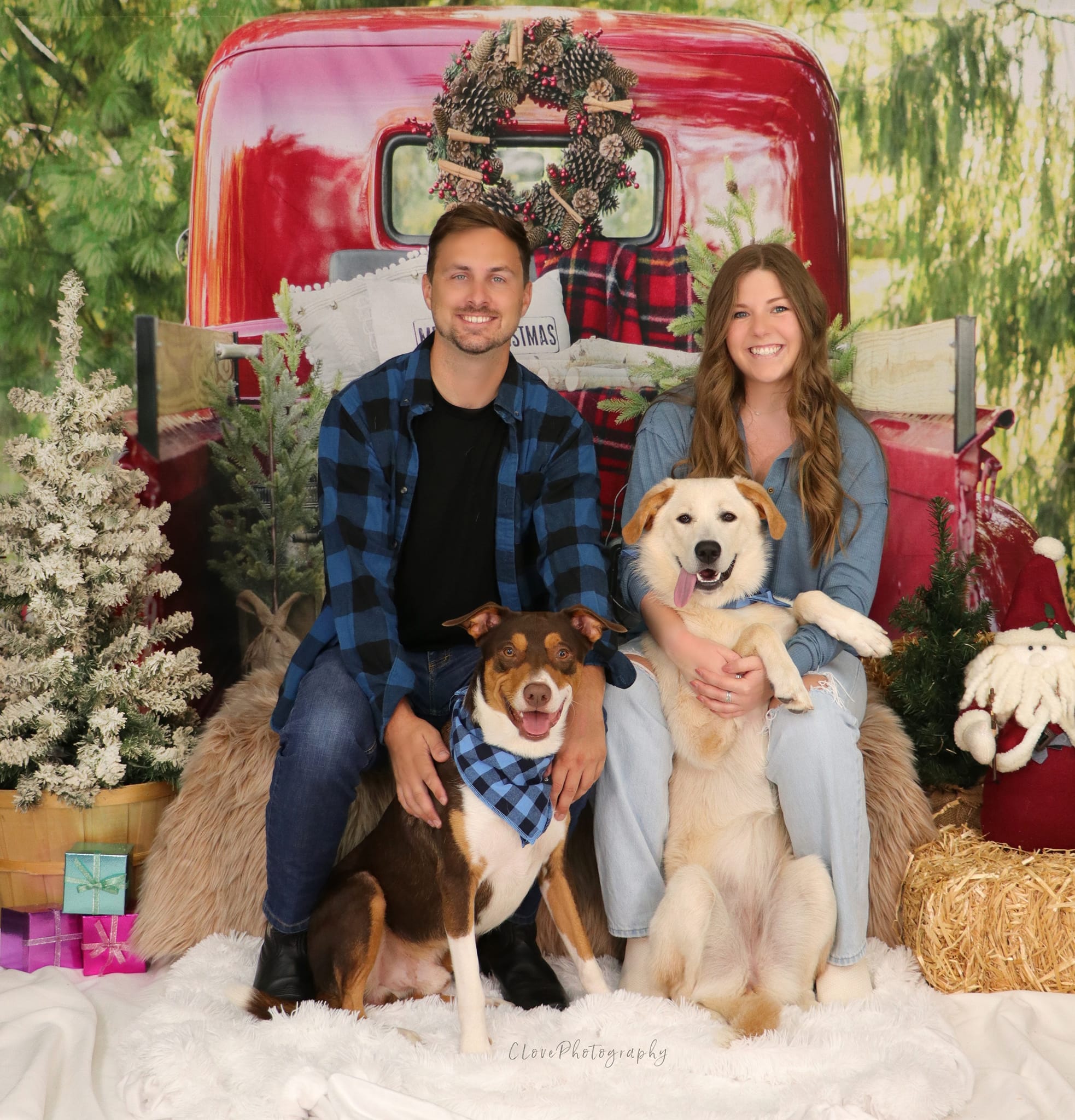 Kate Camion Noël Rouge Plante Toile de fond conçue par Mandy Ringe - Kate Backdrop FR