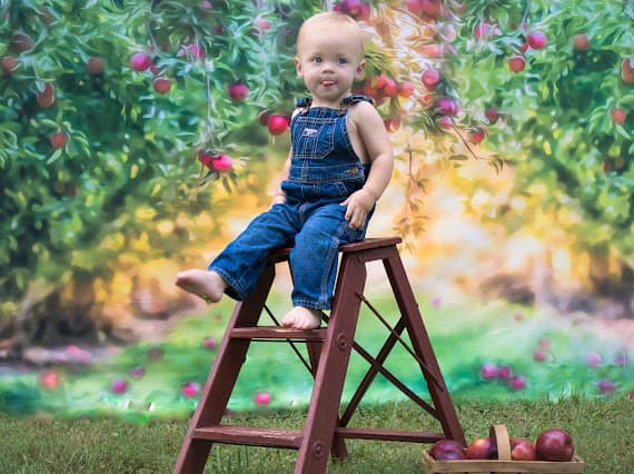 Kate Anniversaire Verger de Pommiers Été Vert Toile de fond conçue par Lisa Granden - Kate Backdrop FR