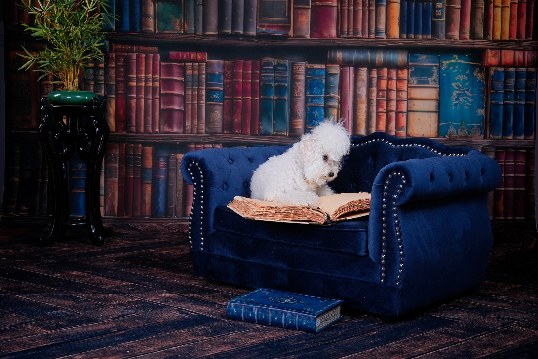 Kate Rétro Librairie Ancienne Toile de fond pour la photographie - Kate Backdrop FR