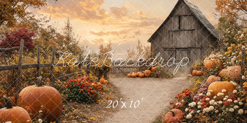 Kate Automne Grange Citrouilles Chemin Toile de fond conçue par Emetselch - Kate Backdrop FR