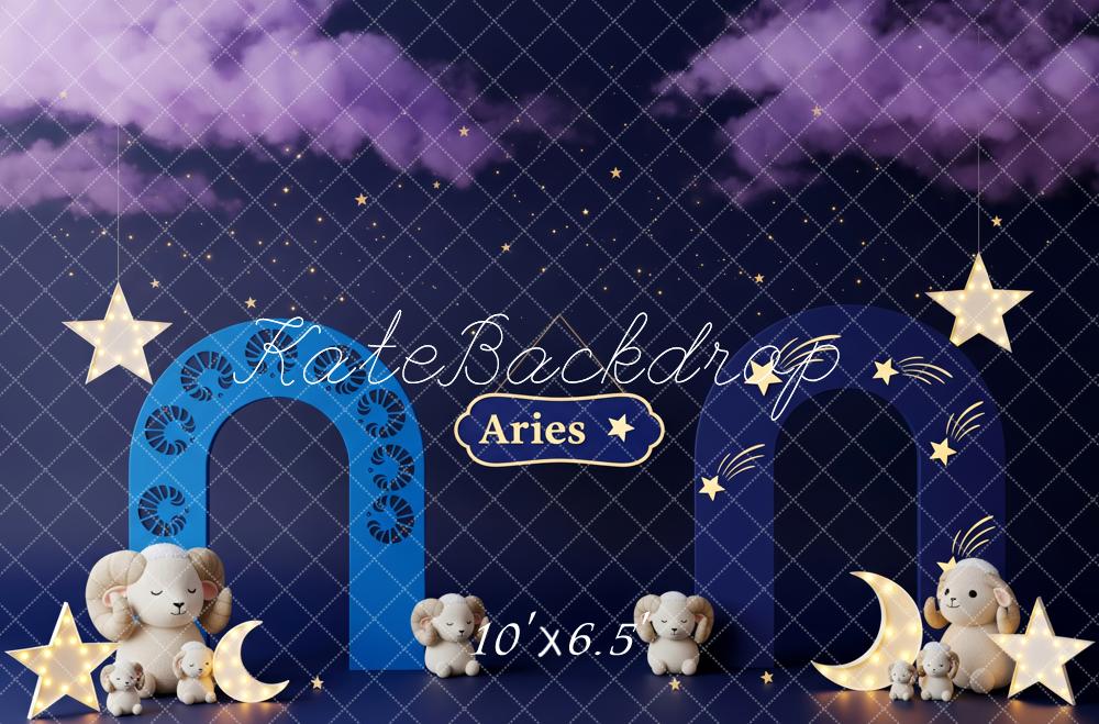 Kate Nuit Ciel Étoiles Lune Peluches Toile de fond conçue par Patty Roberts