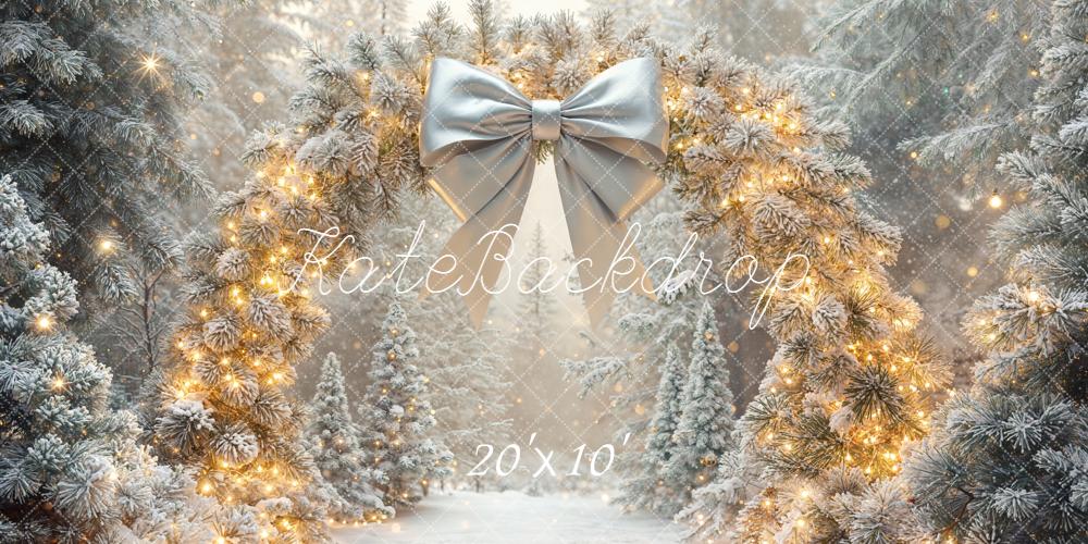 Kate Hiver Arche Guirlande Lumineuse Toile de fond conçue par Emetselch - Kate Backdrop FR