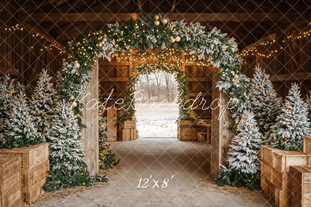 Kate Noël Arche Lumière Sapins Toile de fond en Polar conçue par Emetselch