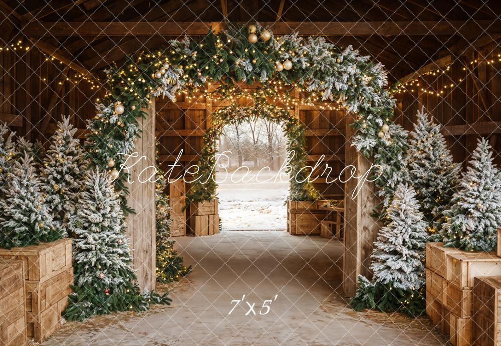 Kate Noël Arche Lumière Sapins Porte Toile de fond conçue par Emetselch