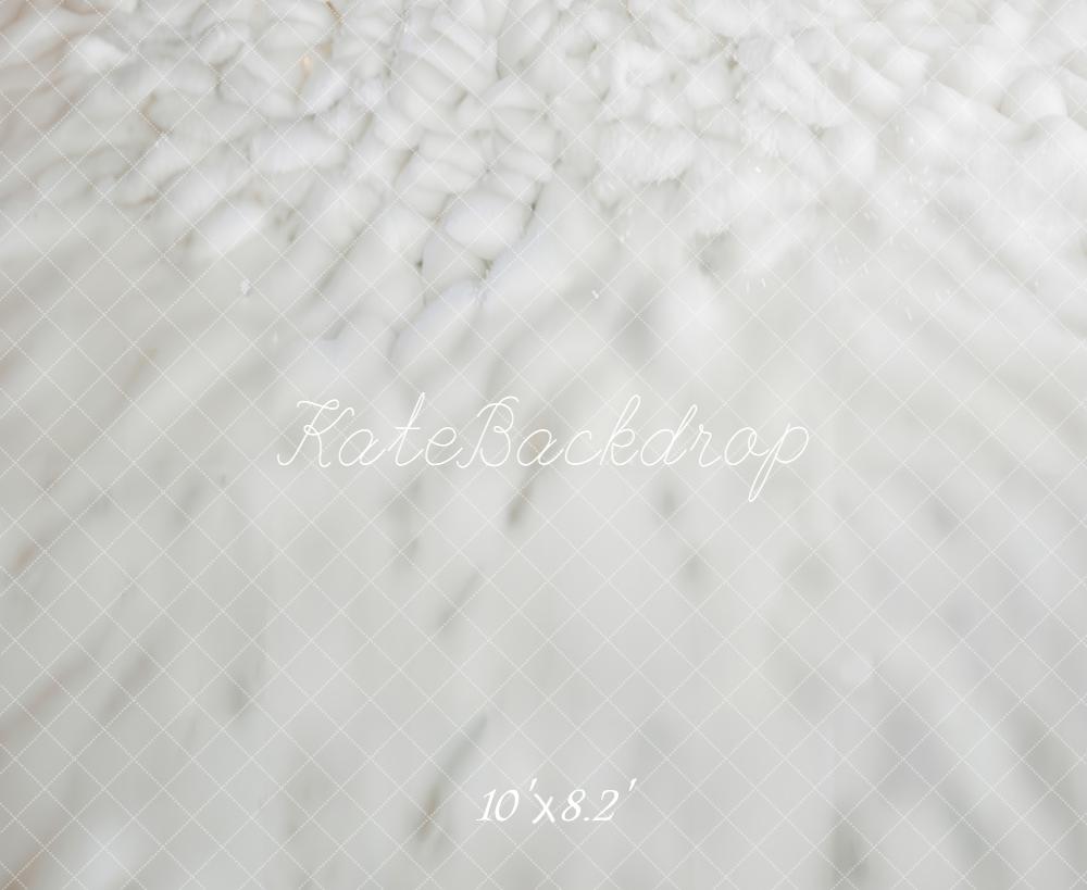 Kate Hiver Neige Blanche Sol Toile de fond conçue par Emetselch - Kate Backdrop FR