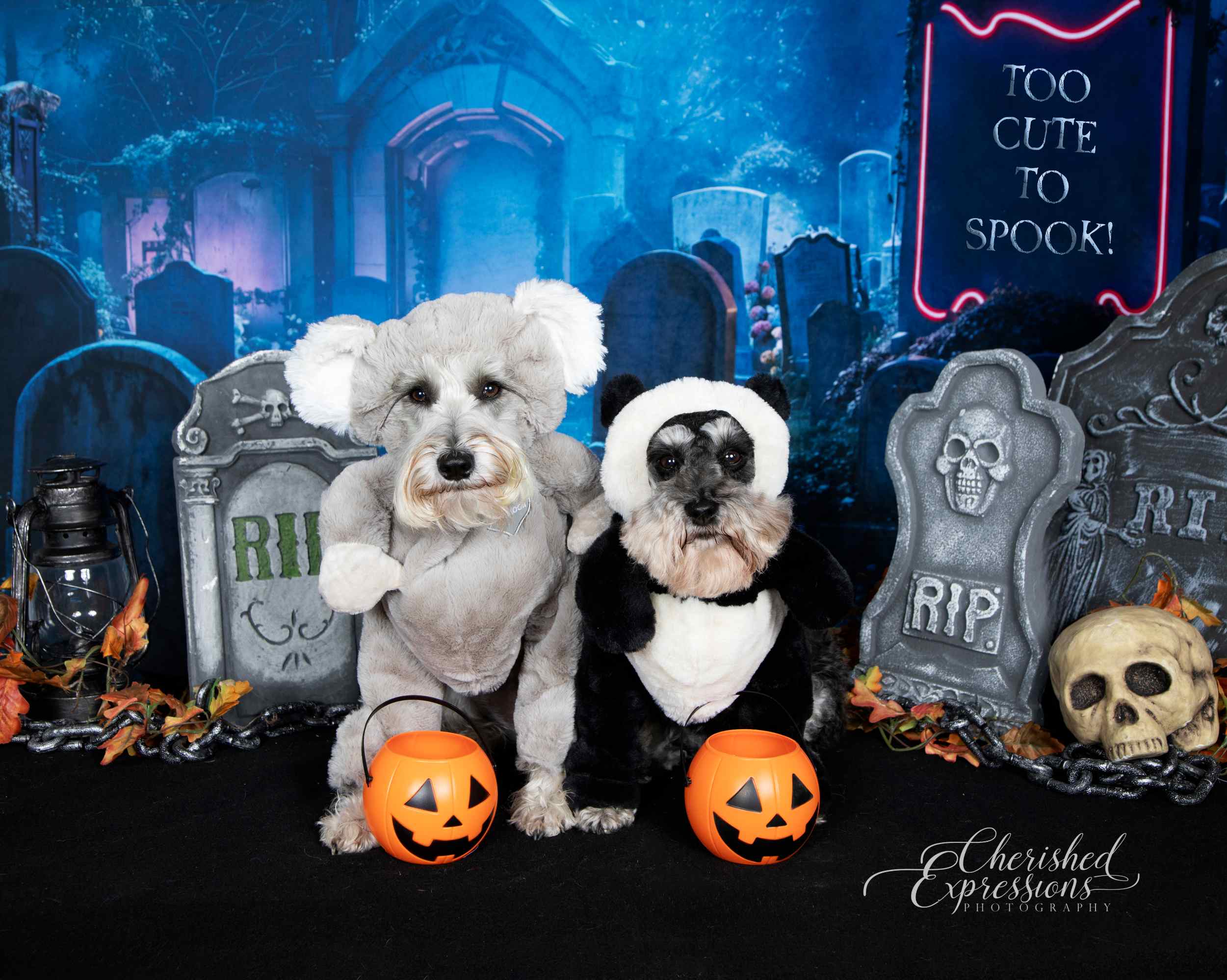 Kate Halloween Néon Cimetière Nuit Toile de fond conçue par Emetselch - Kate Backdrop FR