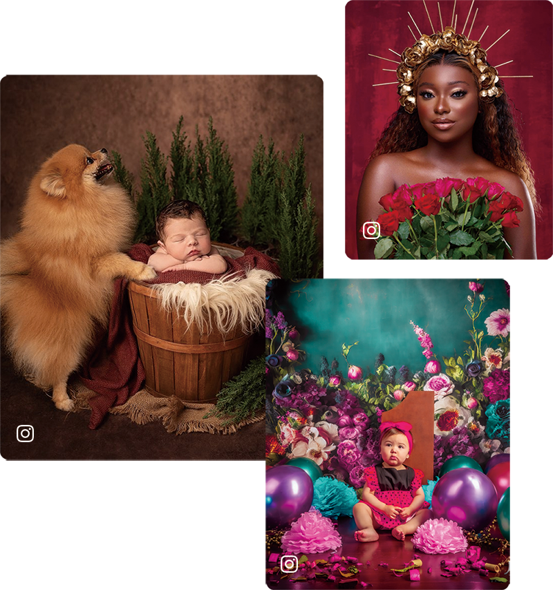 Photo d'un enfant et d'un chien sur fond brun & Photographie de portrait de femme sur fond rouge & Photographie de fond de fleurs pour un enfant