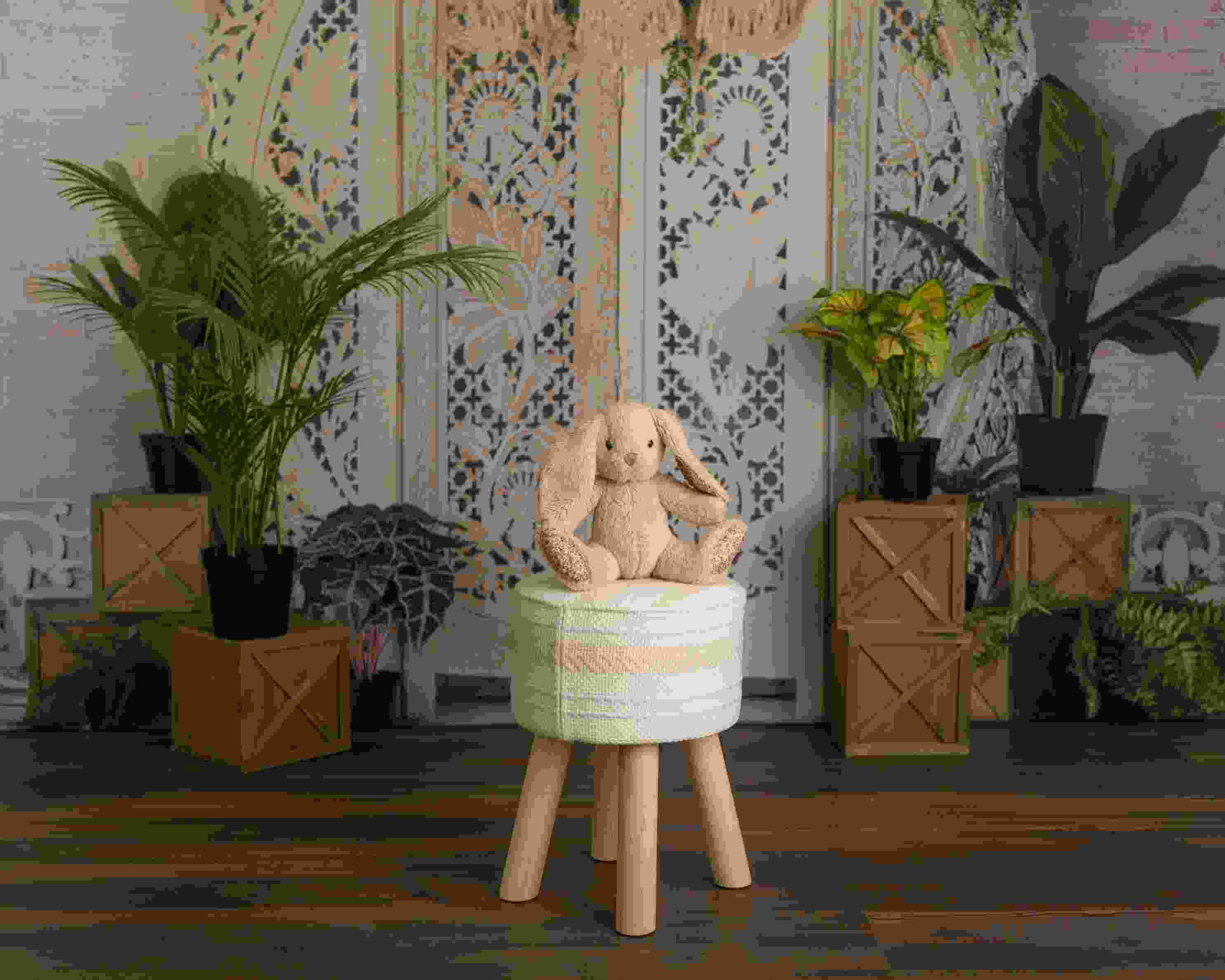 Kate Bohème Plantes Mur de Briques Toile de fond conçue par Mandy Ringe - Kate Backdrop FR