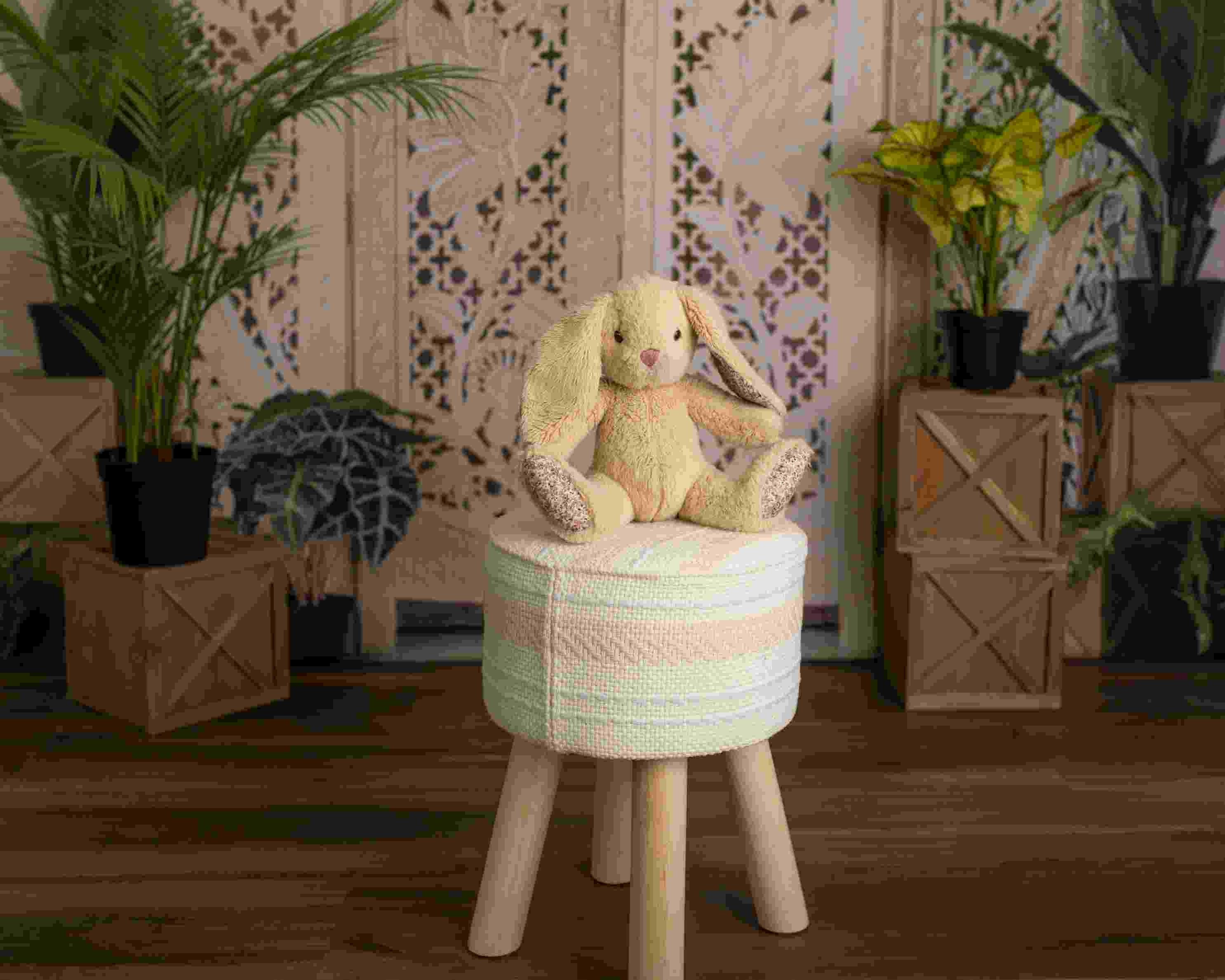 Kate Bohème Plantes Mur de Briques Toile de fond conçue par Mandy Ringe - Kate Backdrop FR