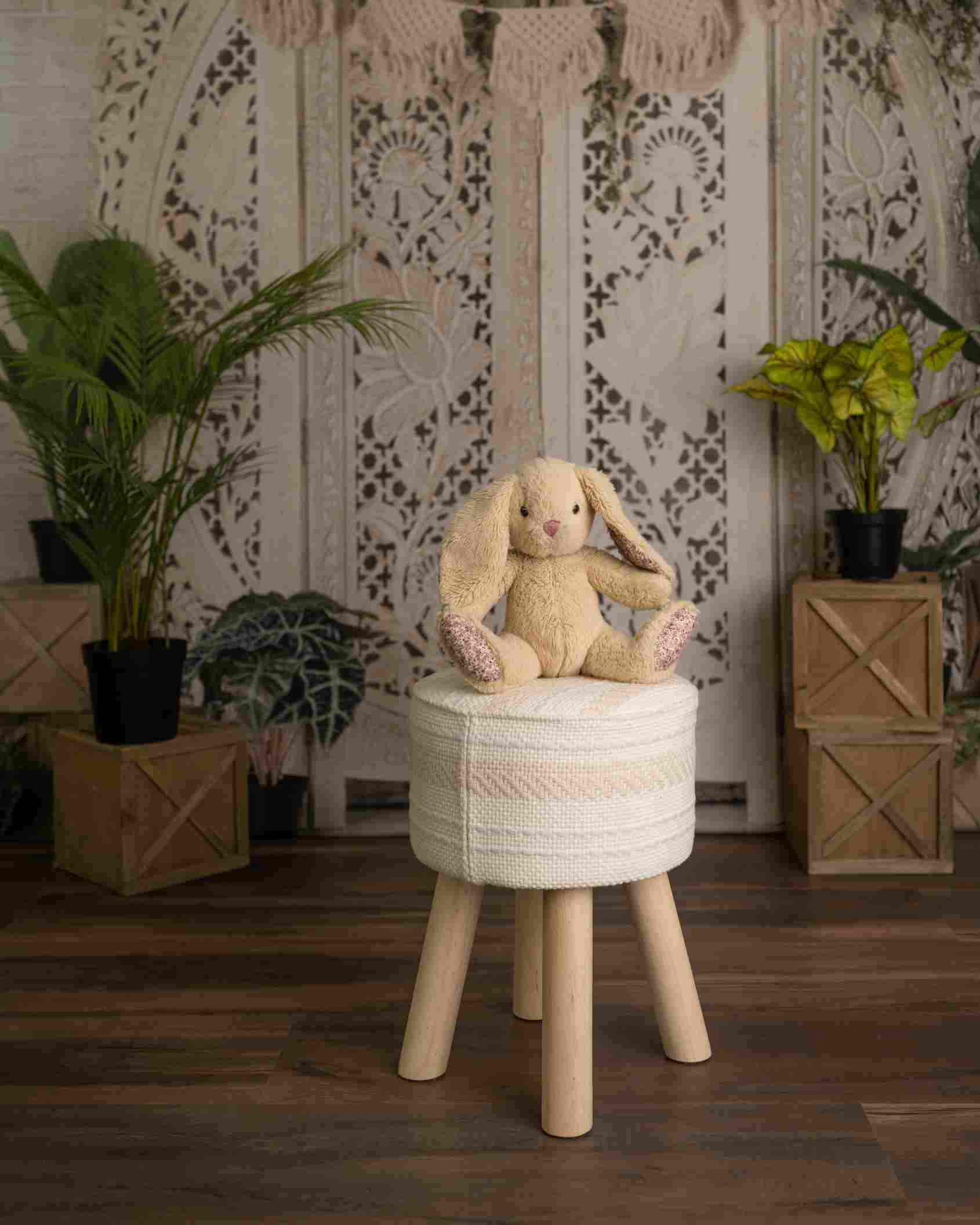 Kate Bohème Plantes Mur de Briques Toile de fond conçue par Mandy Ringe - Kate Backdrop FR