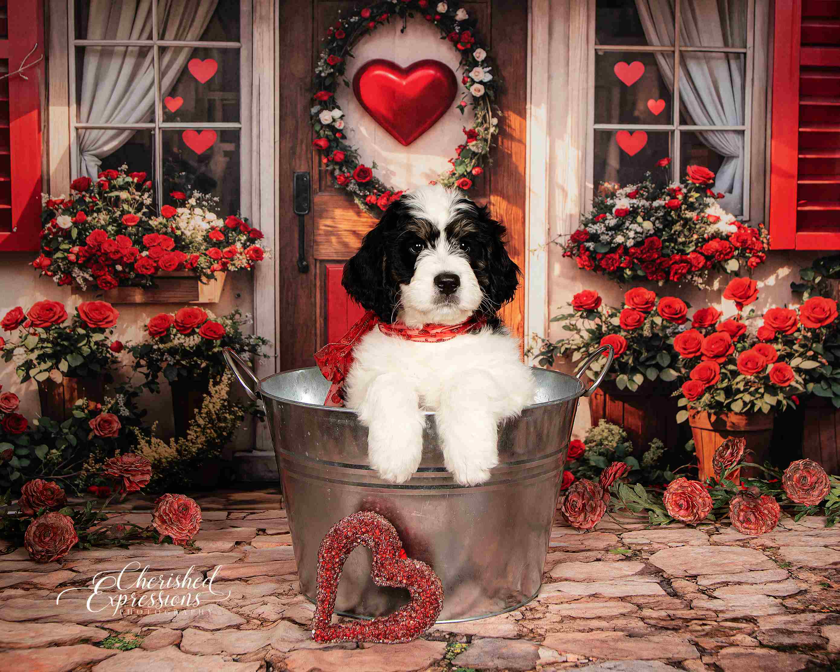 Kate Saint Valentin Roses Rouge Porte Toile de fond conçue par Emetselch - Kate Backdrop FR
