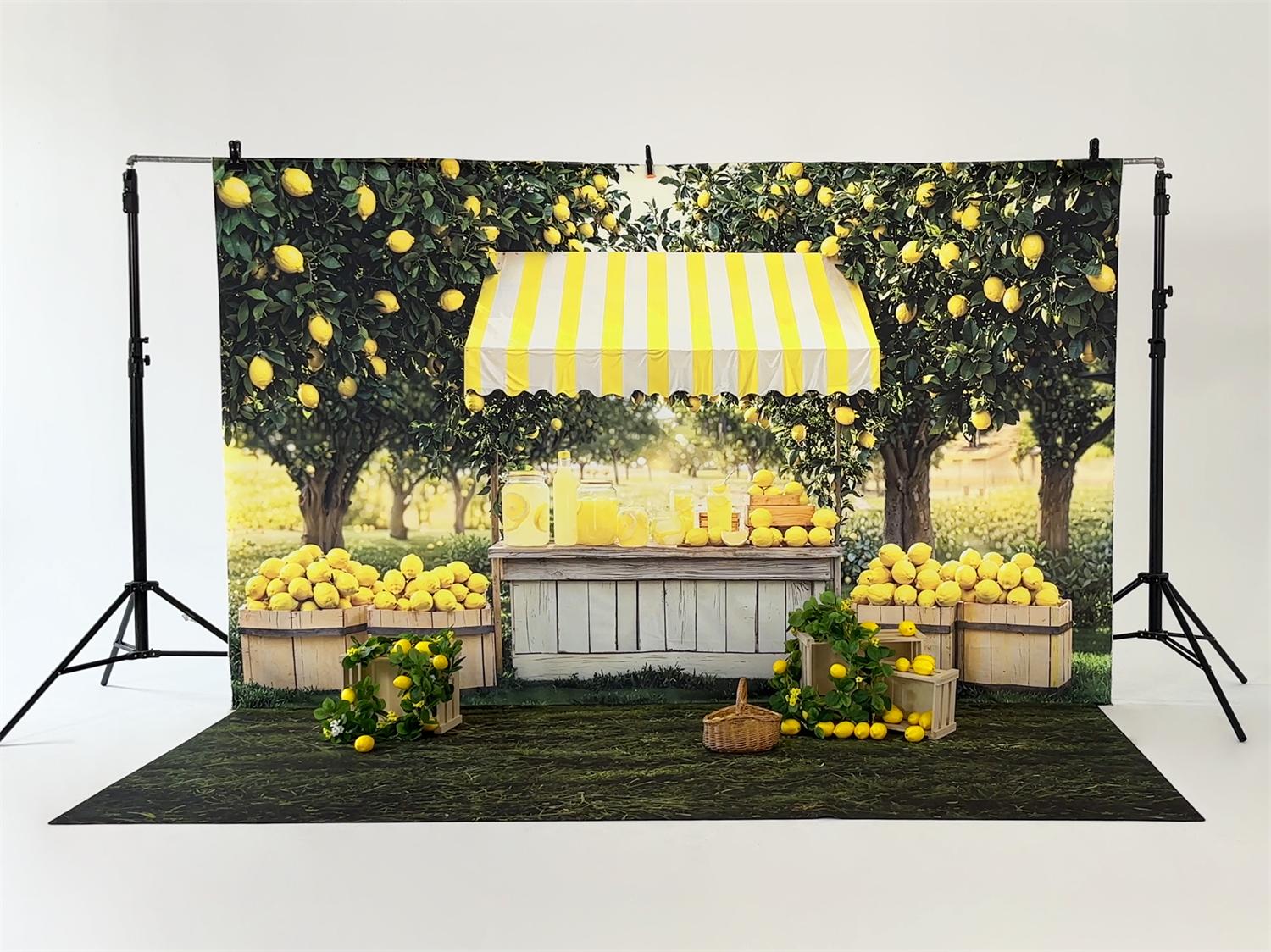 Kate Été Stand de Limonade Citron Kit Photo - Kate Backdrop FR