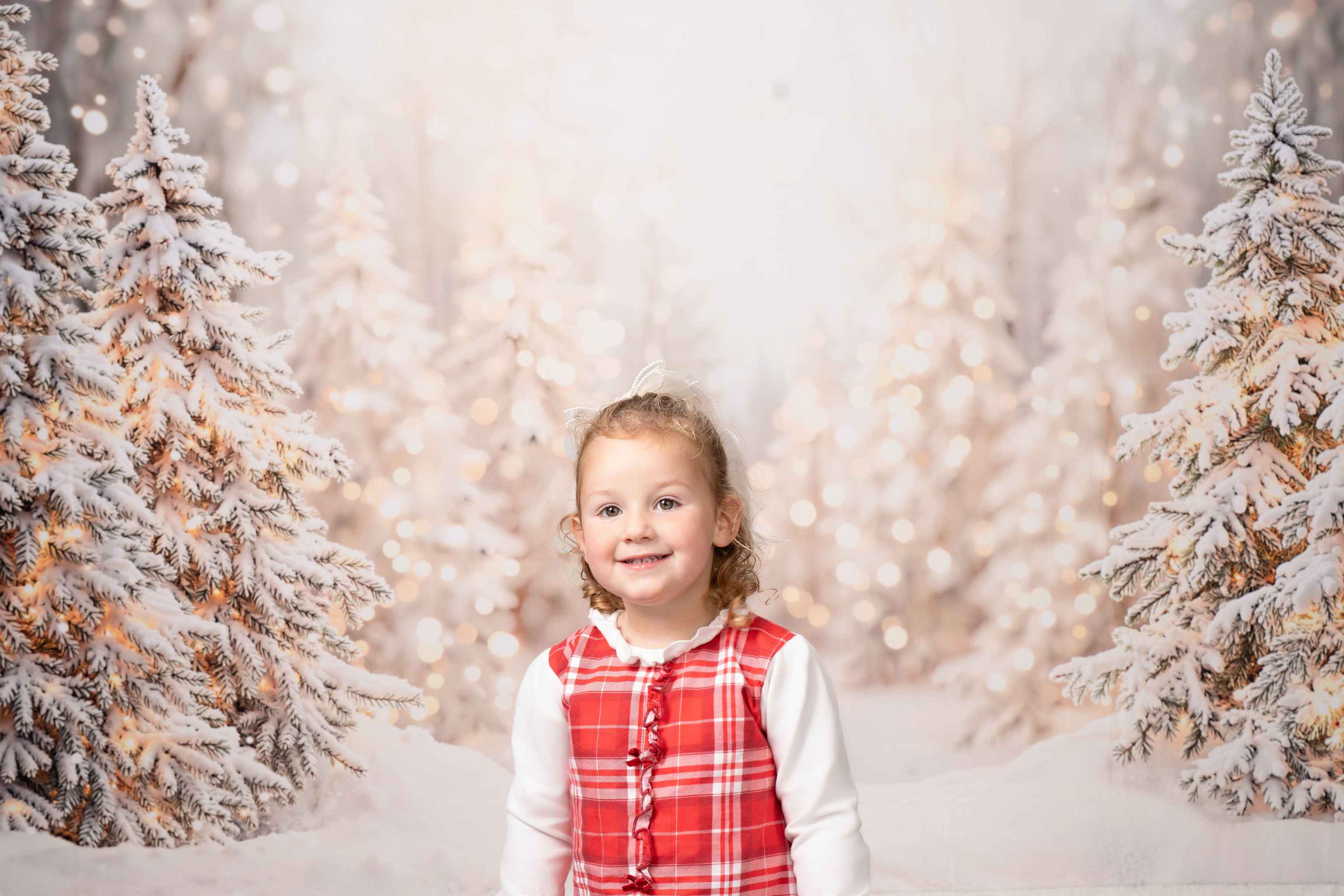 Kate Hiver Arbres Neige Lumière Toile de fond en Laine conçue par Emetselch - Kate Backdrop FR