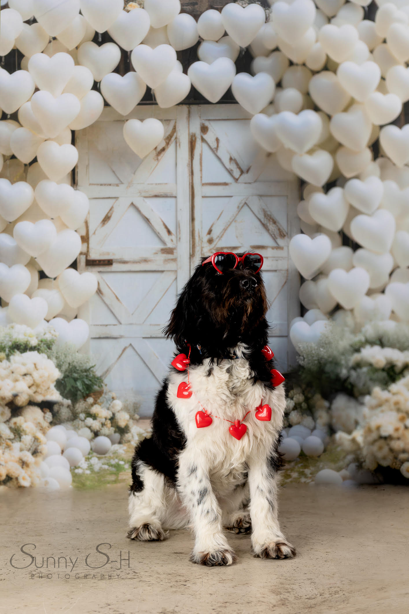 Kate Saint Valentin Porte de Grange Cœurs Toile de fond conçue par Mini MakeBelieve - Kate Backdrop FR