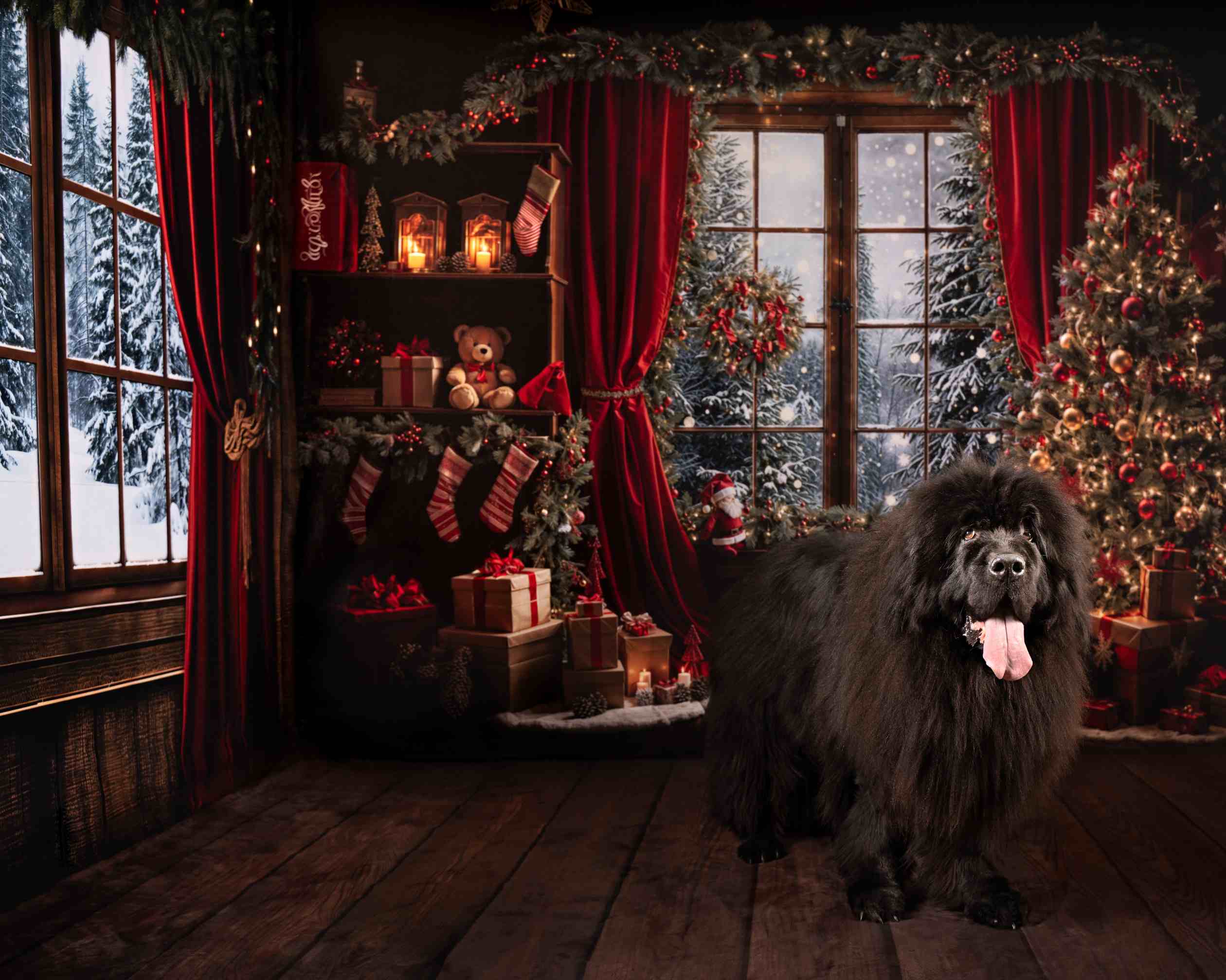 Offres Éclair-Kate Noël Rideau Rouge Fenêtre Cadeaux Ensemble de chambre (8pix8pi&10pix8pi&8pix10pi) - Kate Backdrop FR