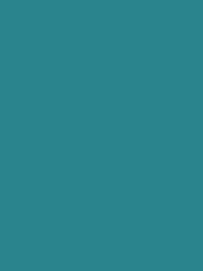 Katebackdrop:Kate Blue Green Solid Photography Backdrop