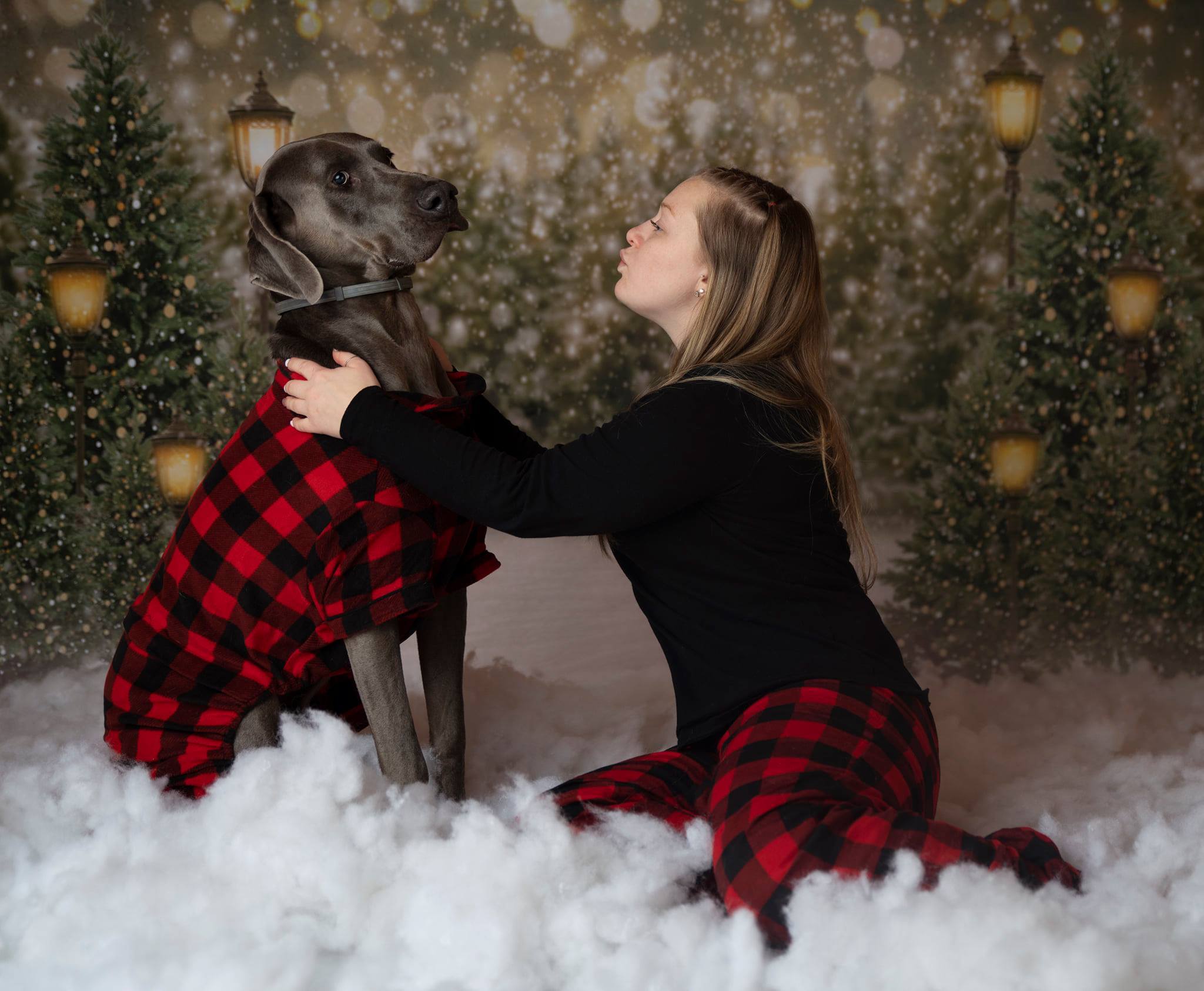 Kate Hiver Noël Neige Forêt Lumières Toile de fond pour la photographie - Kate Backdrop FR