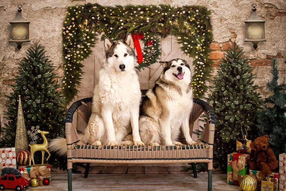 Kate Porte Mur de briques Toile de fond Arbres de Noël conçue par la photographie JS - Kate Backdrop FR