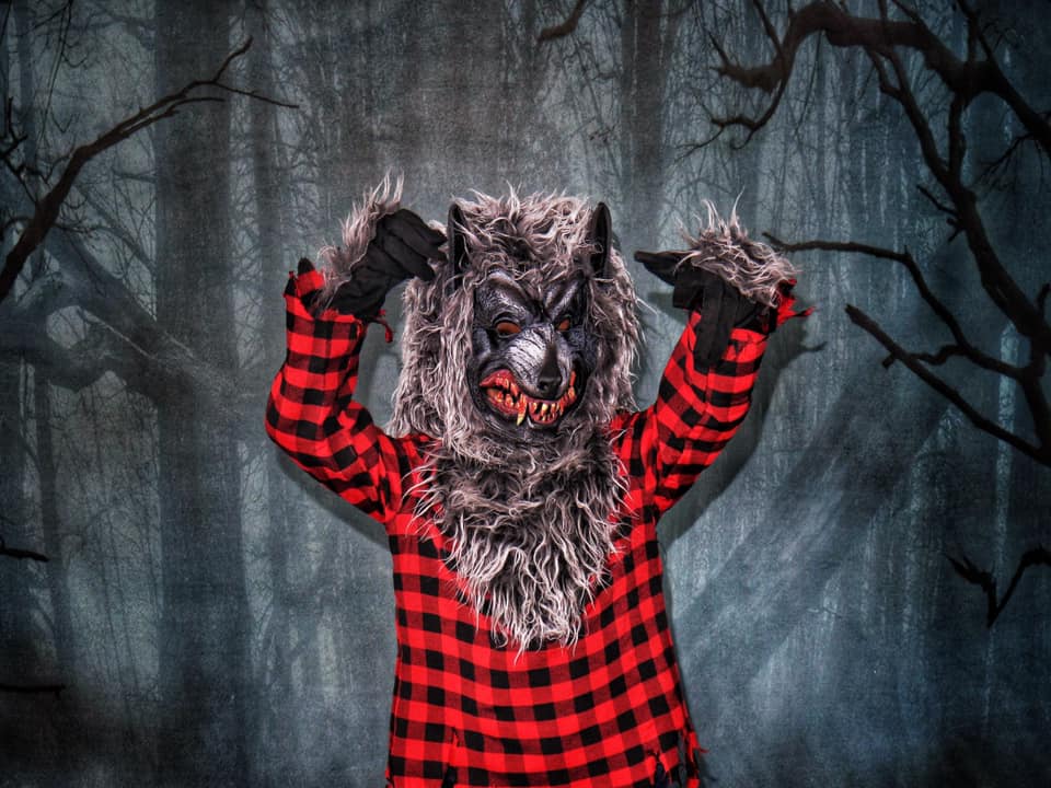 Kate Forêt de nuit effrayante d'Halloween Toile de fond conçue par Arica Kirby - Kate Backdrop FR