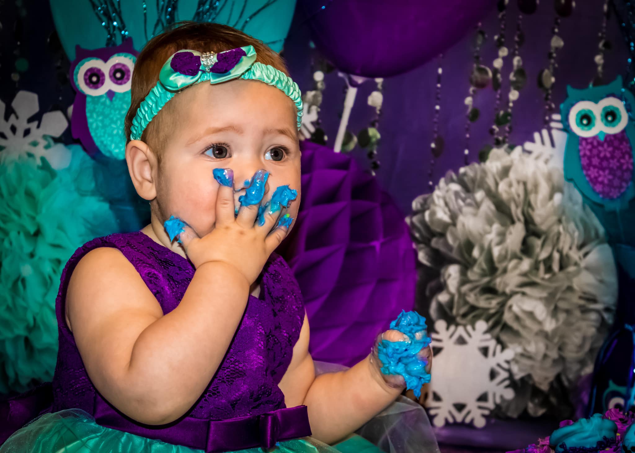 Kate Violet Bleu Pays des merveilles Toile de fond conçue par Mandy Ringe - Kate Backdrop FR