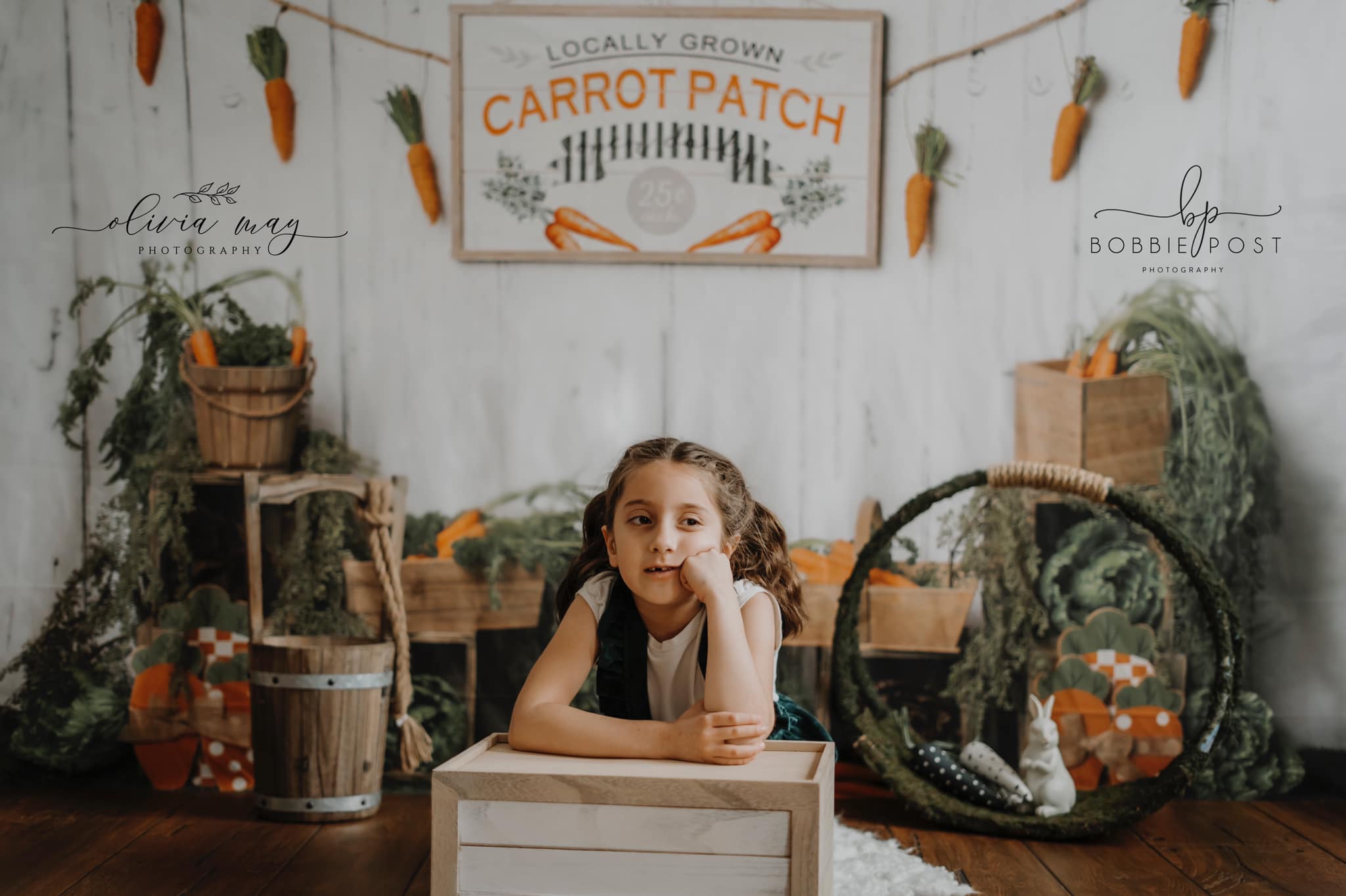 Kate Pâques Tranches de Carottes Toile de fond conçu par Megan Leigh - Kate Backdrop FR