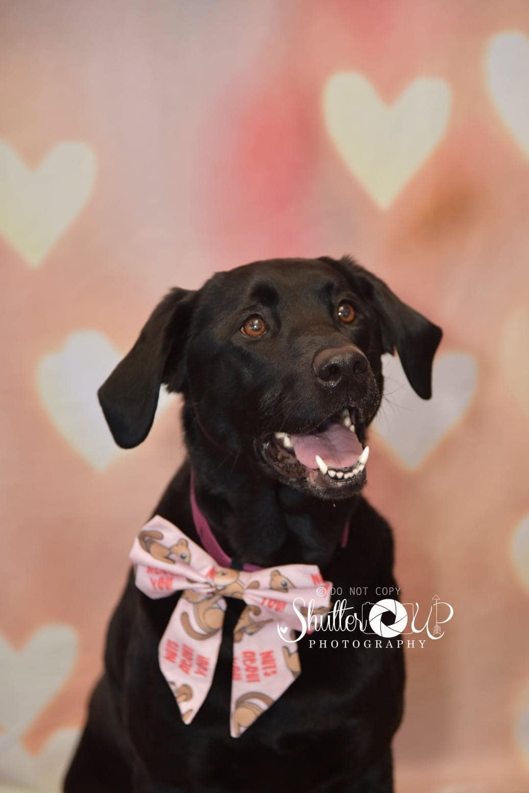 Kate Décors Bokeh Amour Jaune Saint-Valentin Toile de fond pour la photographie - Kate Backdrop FR