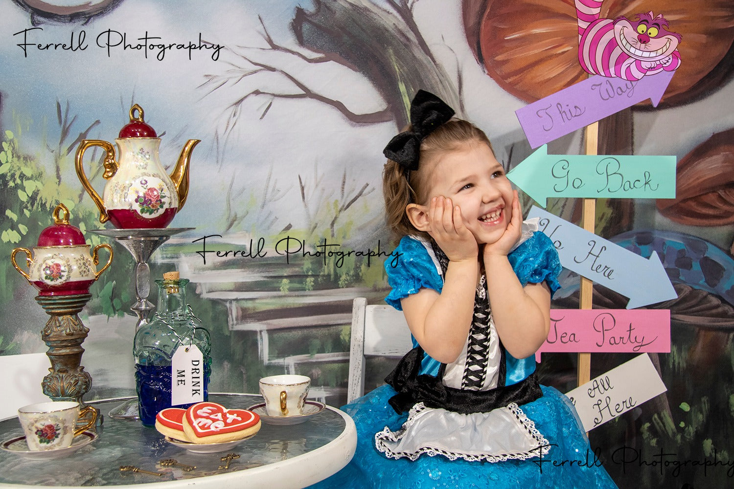 Kate Pays des merveilles Château Champignon Enfant Toile de fond conçue par JFCC - Kate Backdrop FR