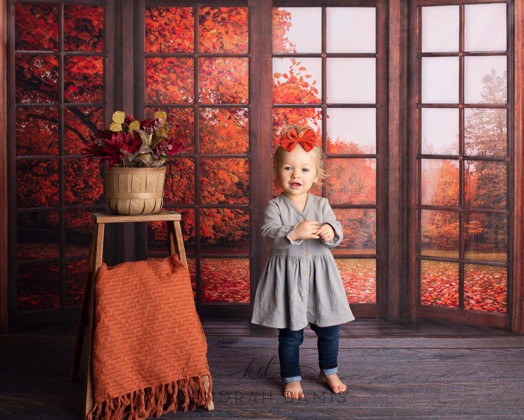 Kate Automne Feuilles à l'extérieur Fenêtre Toile de fond pour la photographie - Kate Backdrop FR