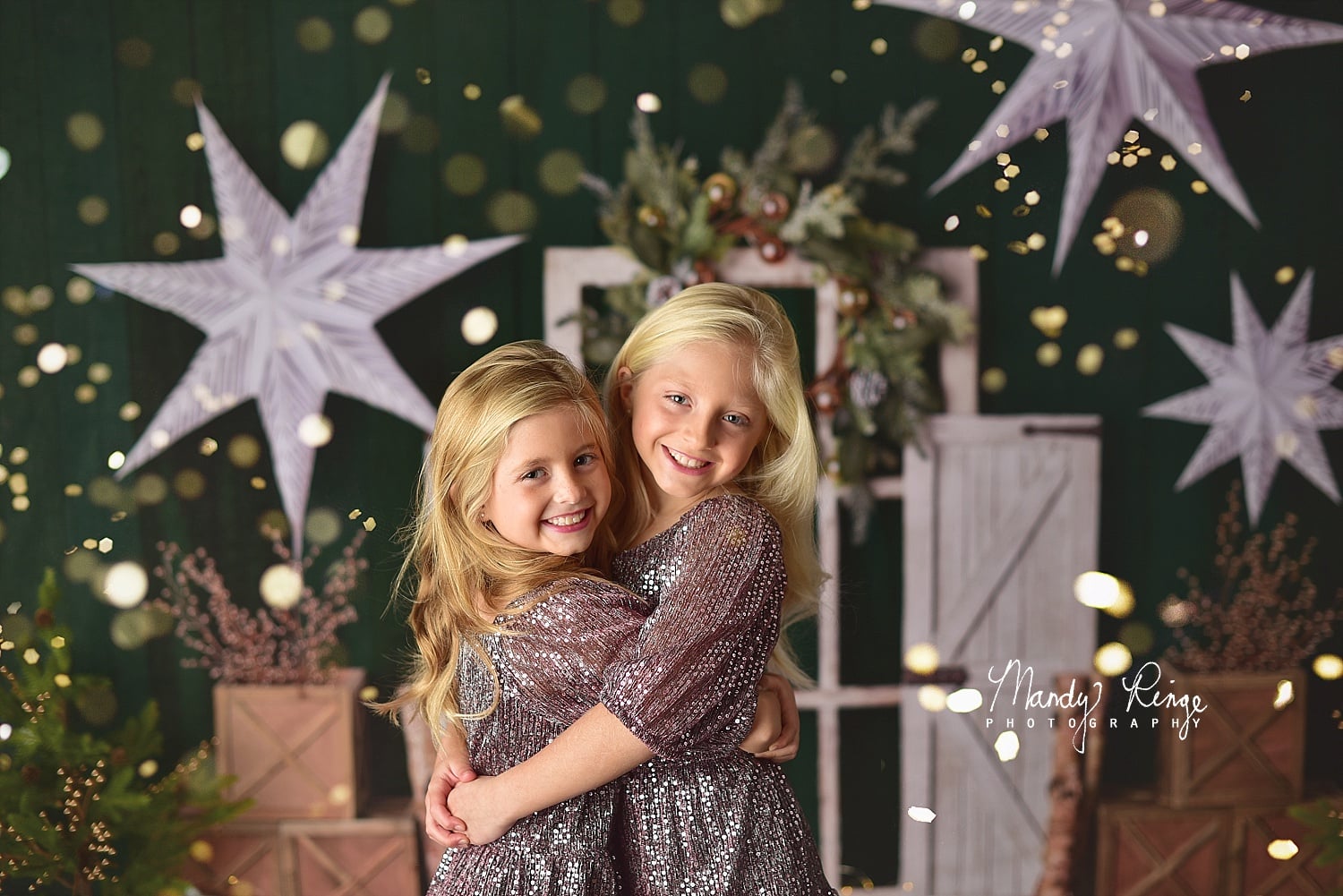 Kate Vacances Noël Feuilles persistantes Toile de fond conçue par Mandy Ringe - Kate Backdrop FR