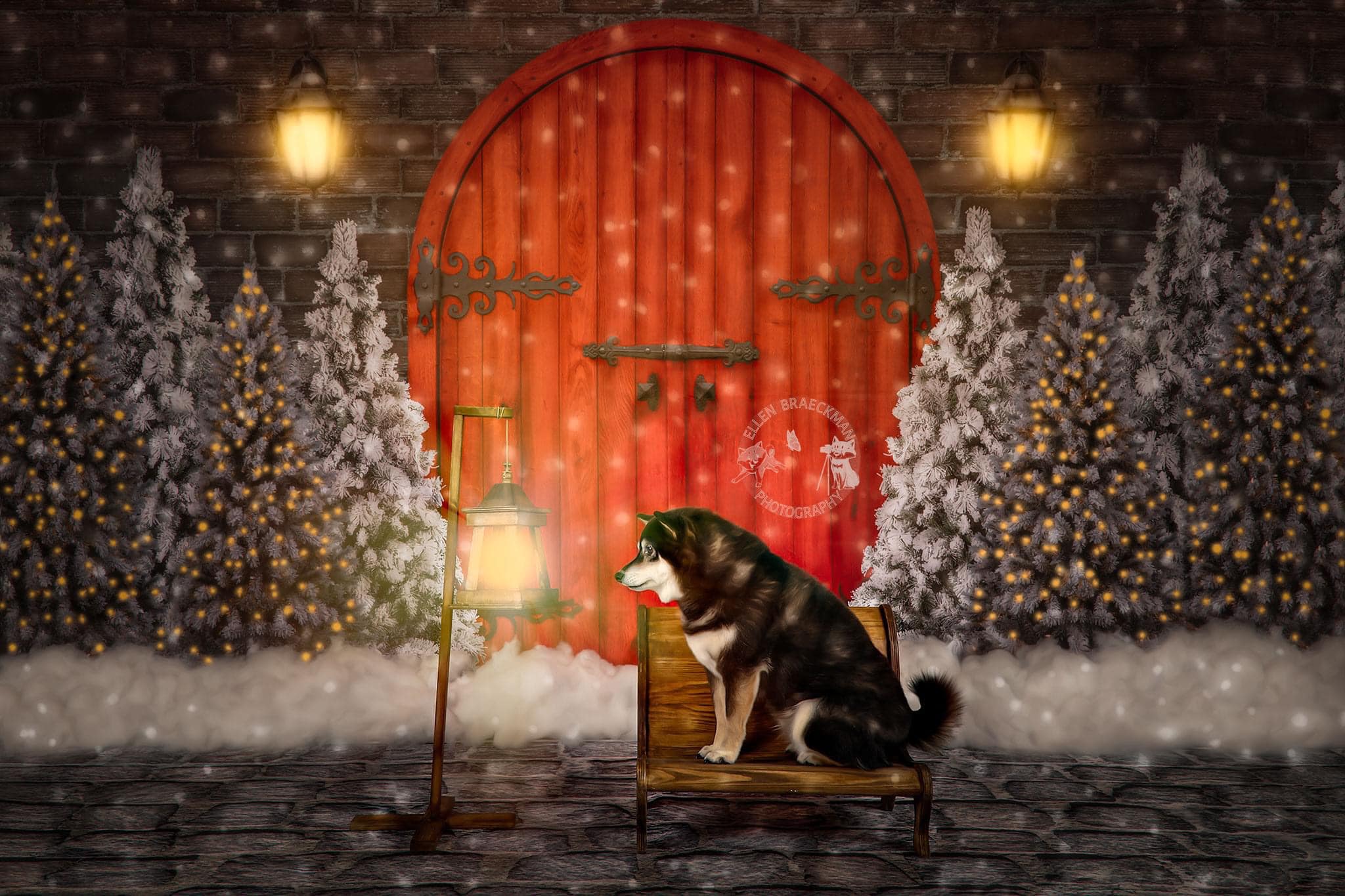 Kate Porte Rouge Noël Nuit Hiver Toile de fond conçue par Jerry_Sina - Kate Backdrop FR
