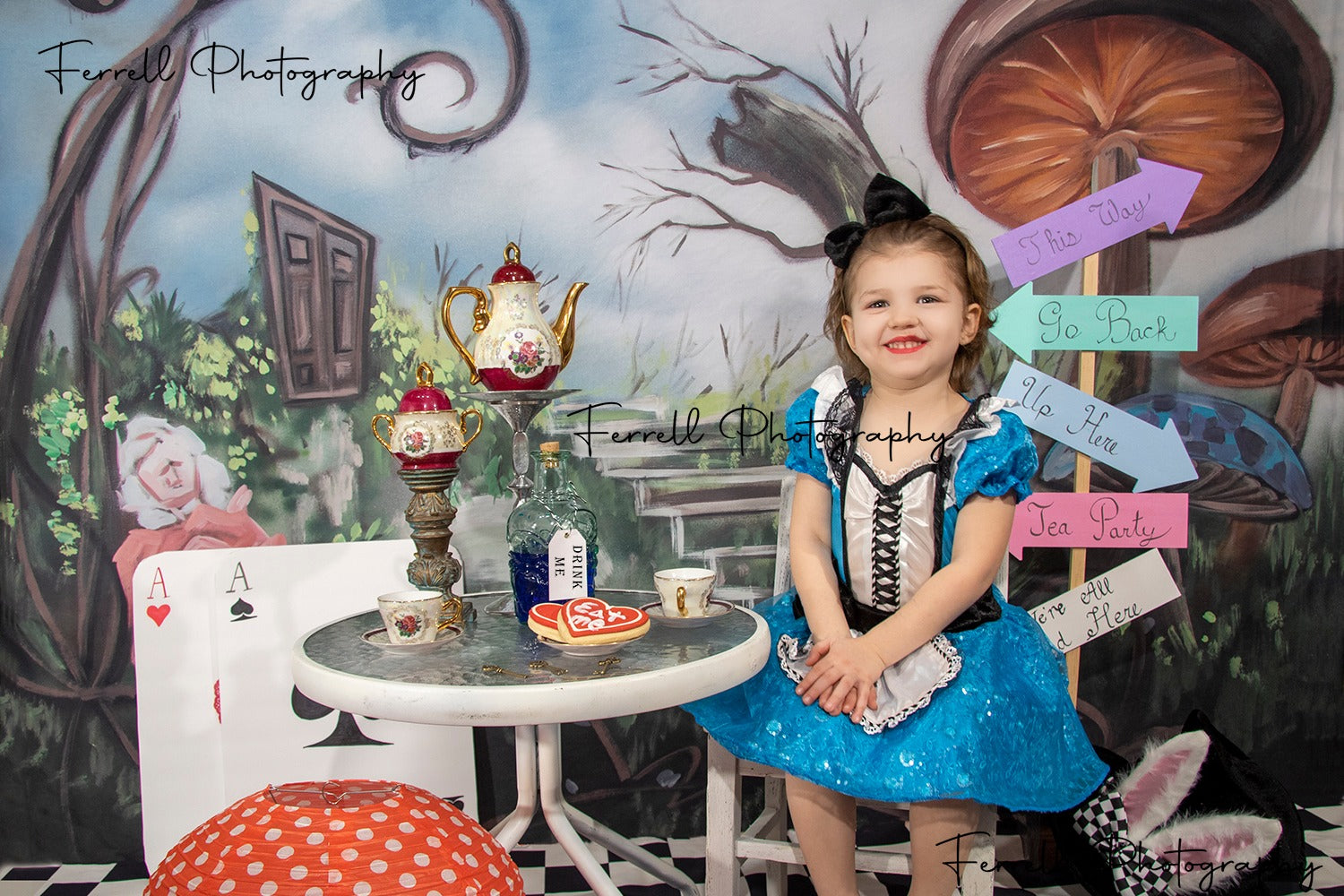 Kate Pays des merveilles Château Champignon Enfant Toile de fond conçue par JFCC - Kate Backdrop FR