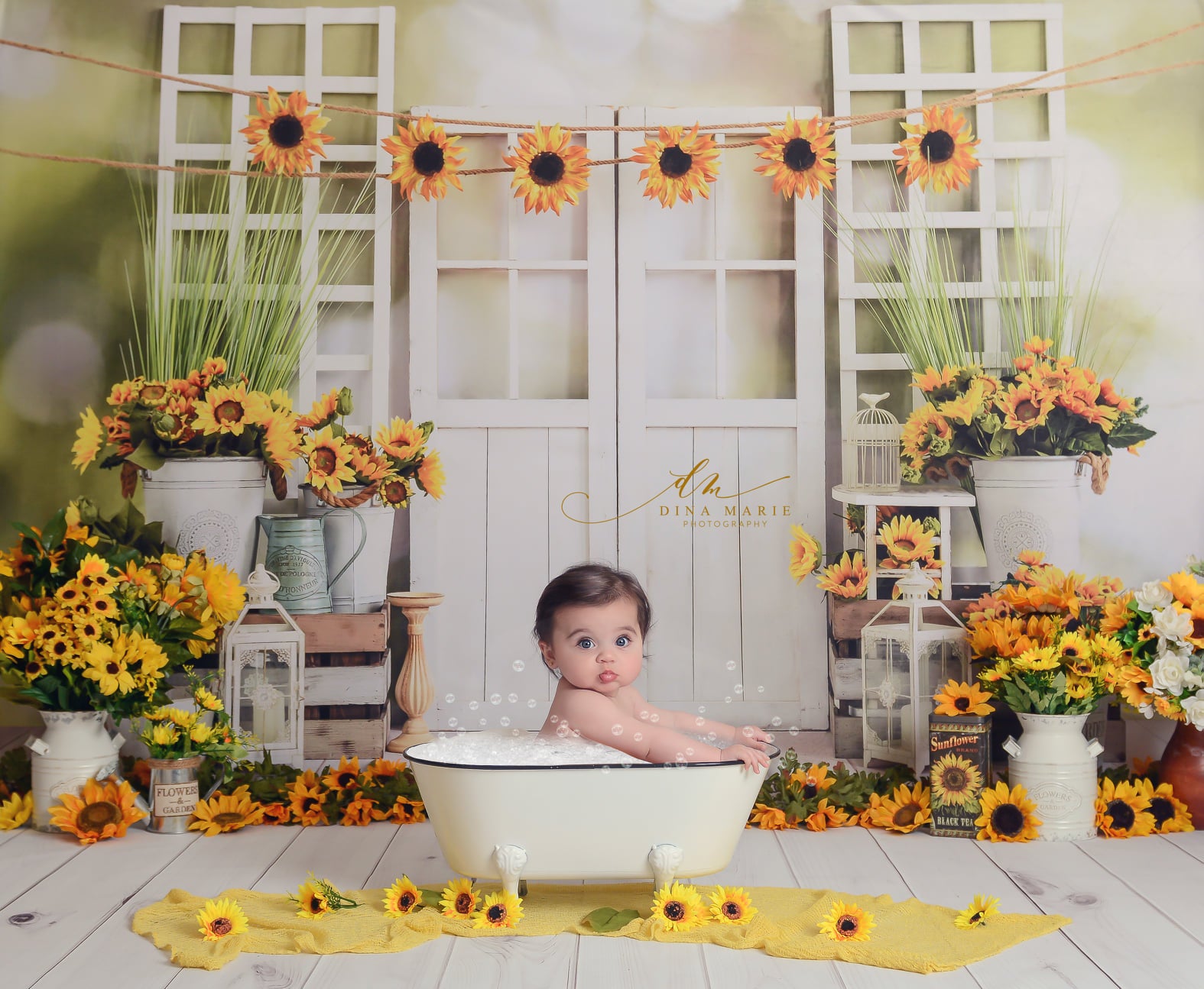 Kate Été Fenêtre Tournesols Porte Toile de fond conçue par Emetselch - Kate Backdrop FR